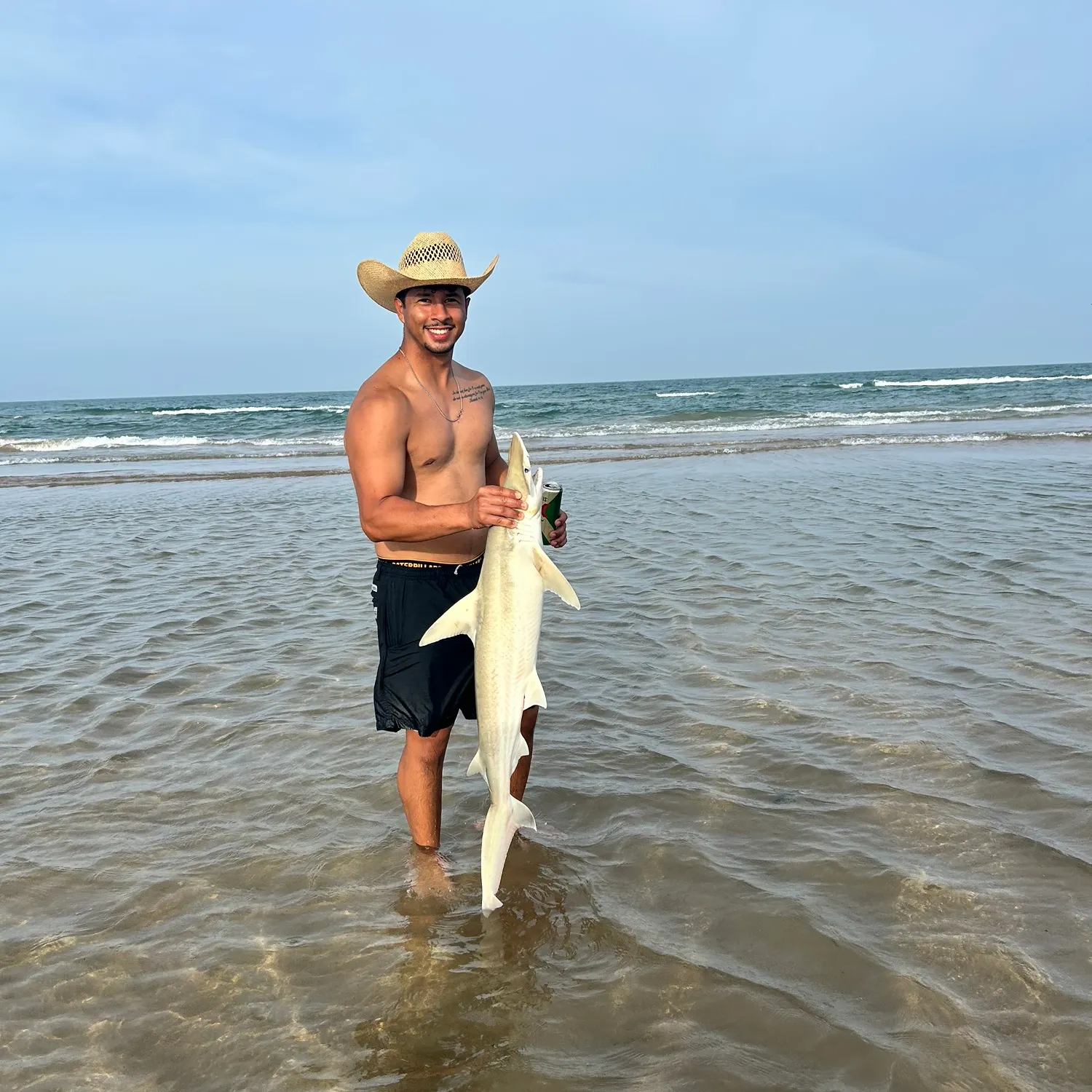 The most recent Bonnethead shark catches on Fishbrain