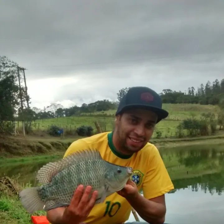 Redbreast tilapia caught on Fishbrain
