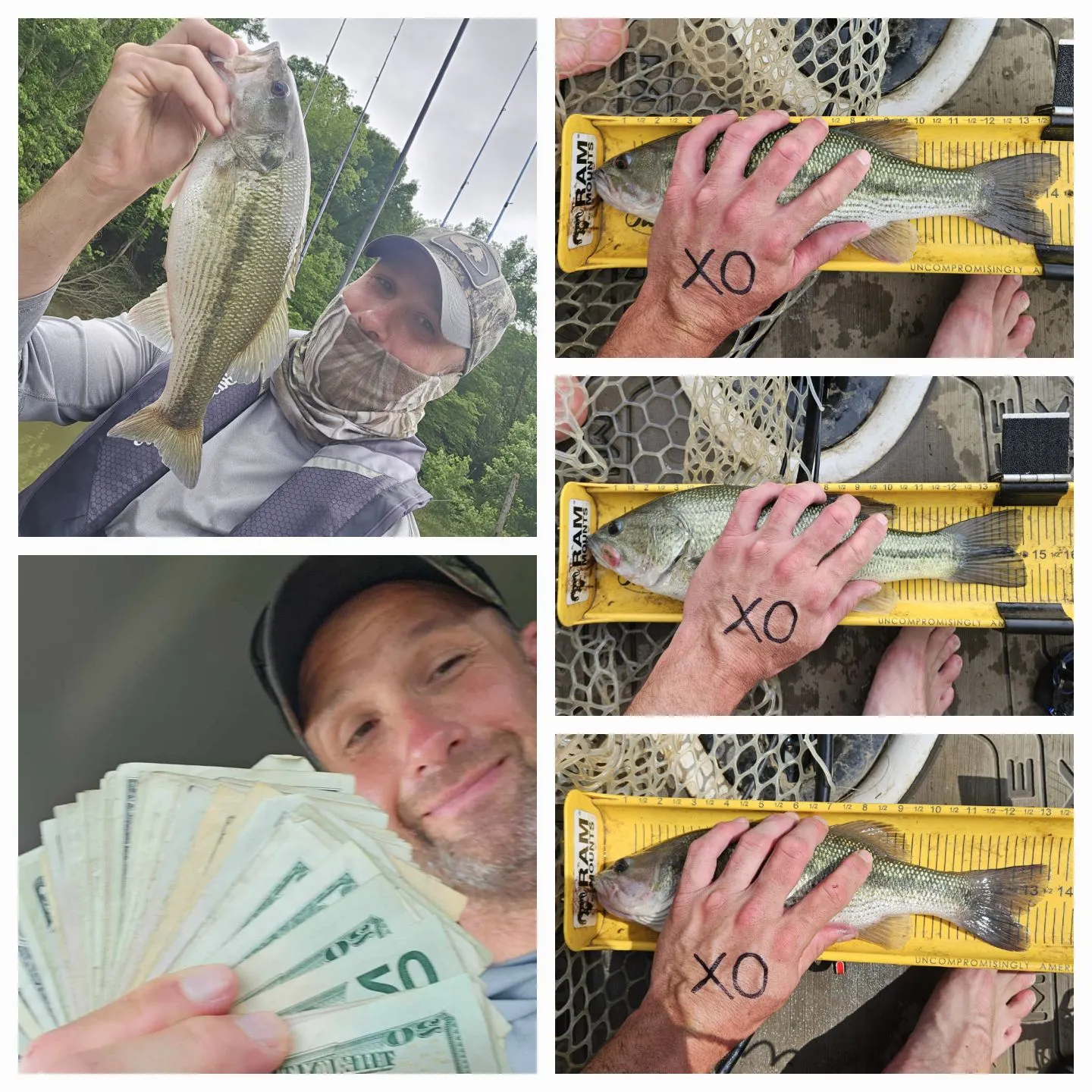 recently logged catches