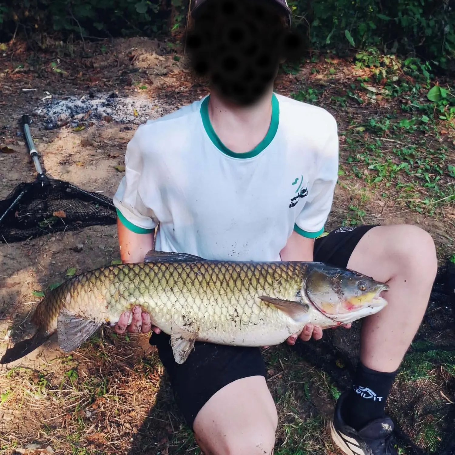 Grass carp caught on Fishbrain