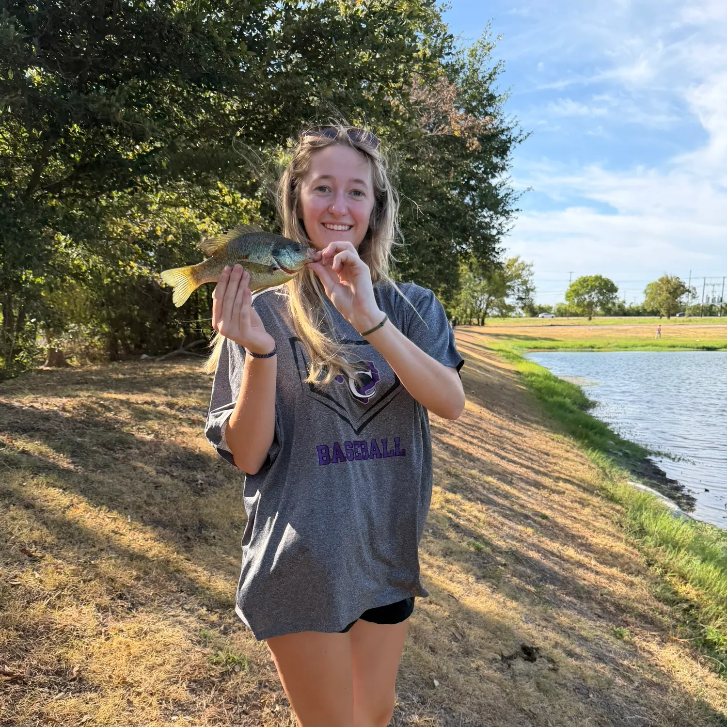 Bluegill caught on Fishbrain