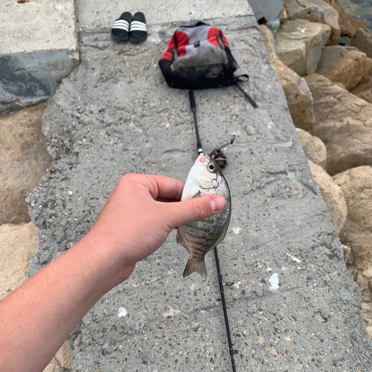 catch