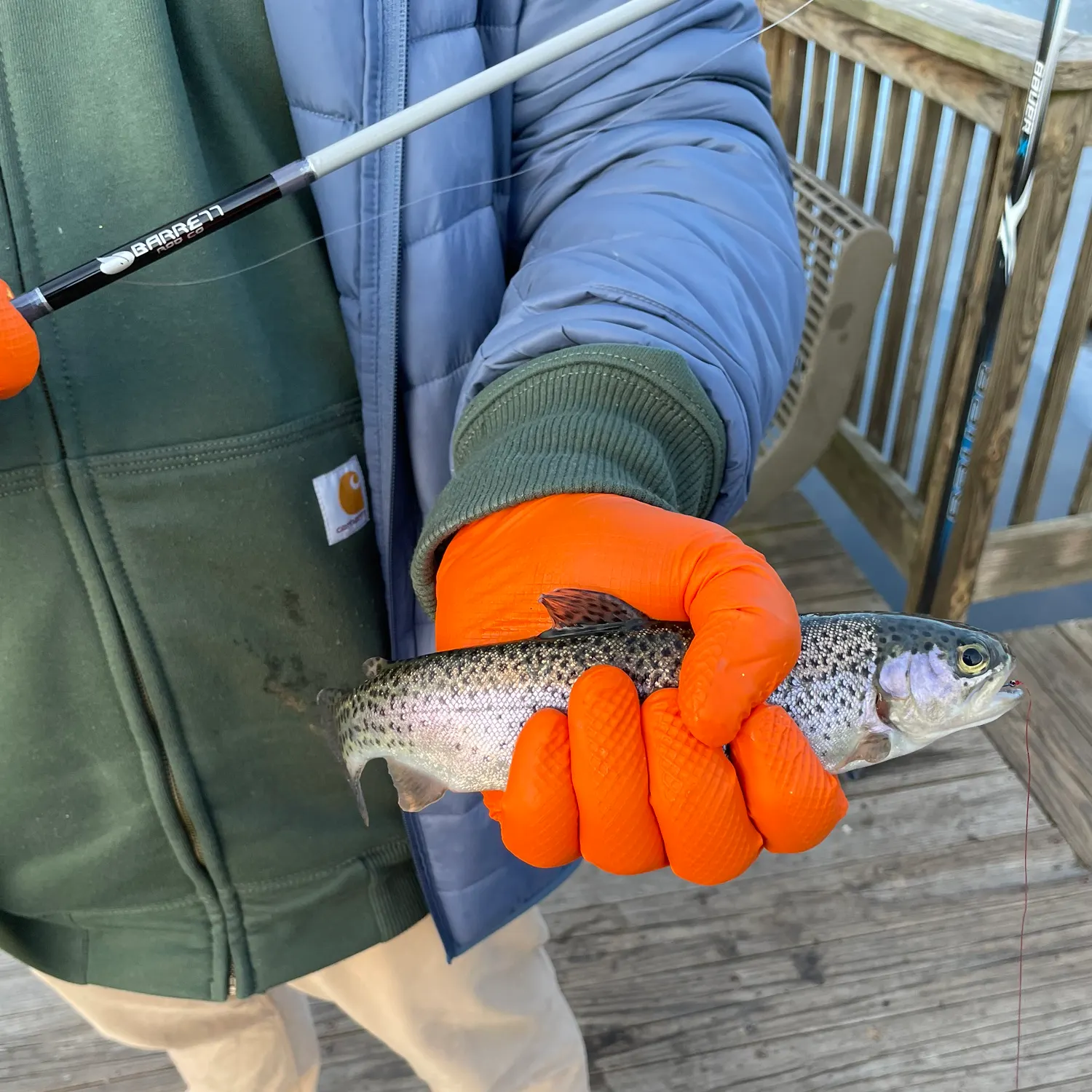 recently logged catches