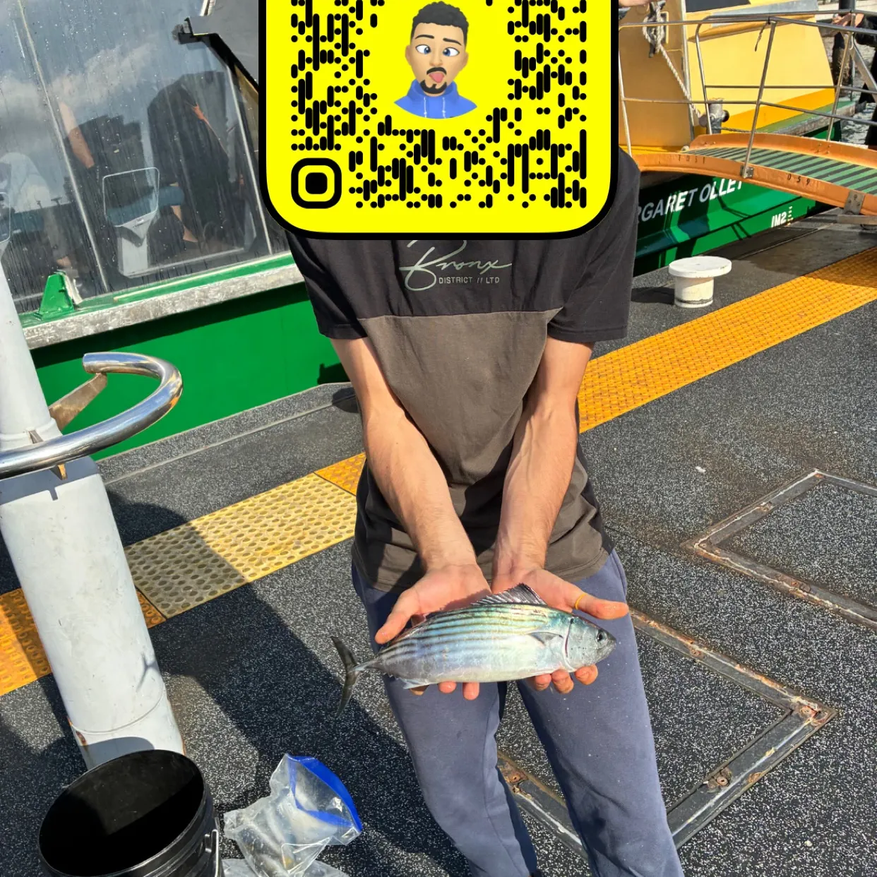 The most recent Australian bonito catches on Fishbrain