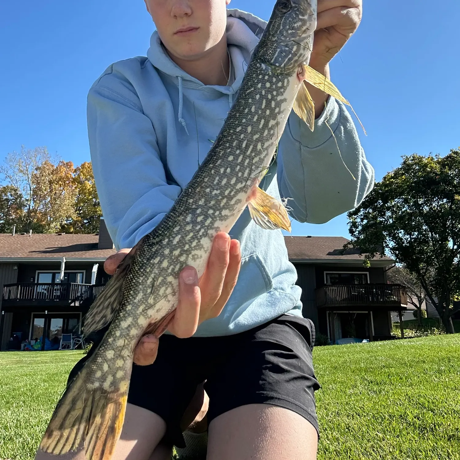 Northern pike caught on Fishbrain