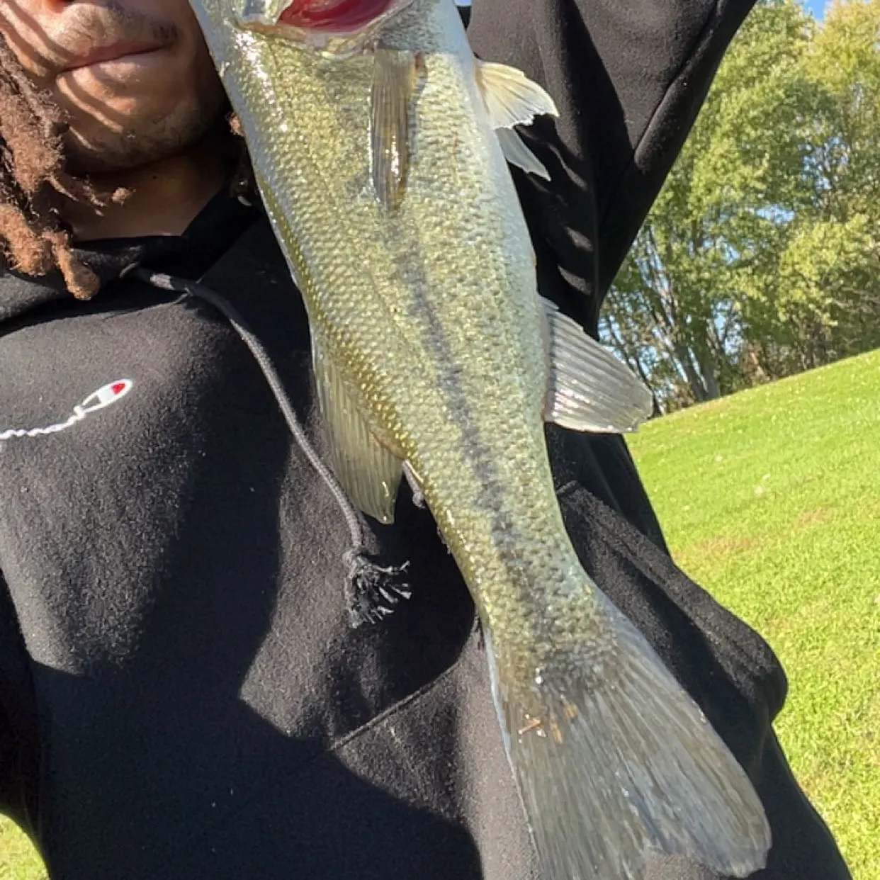 Largemouth bass caught on Fishbrain