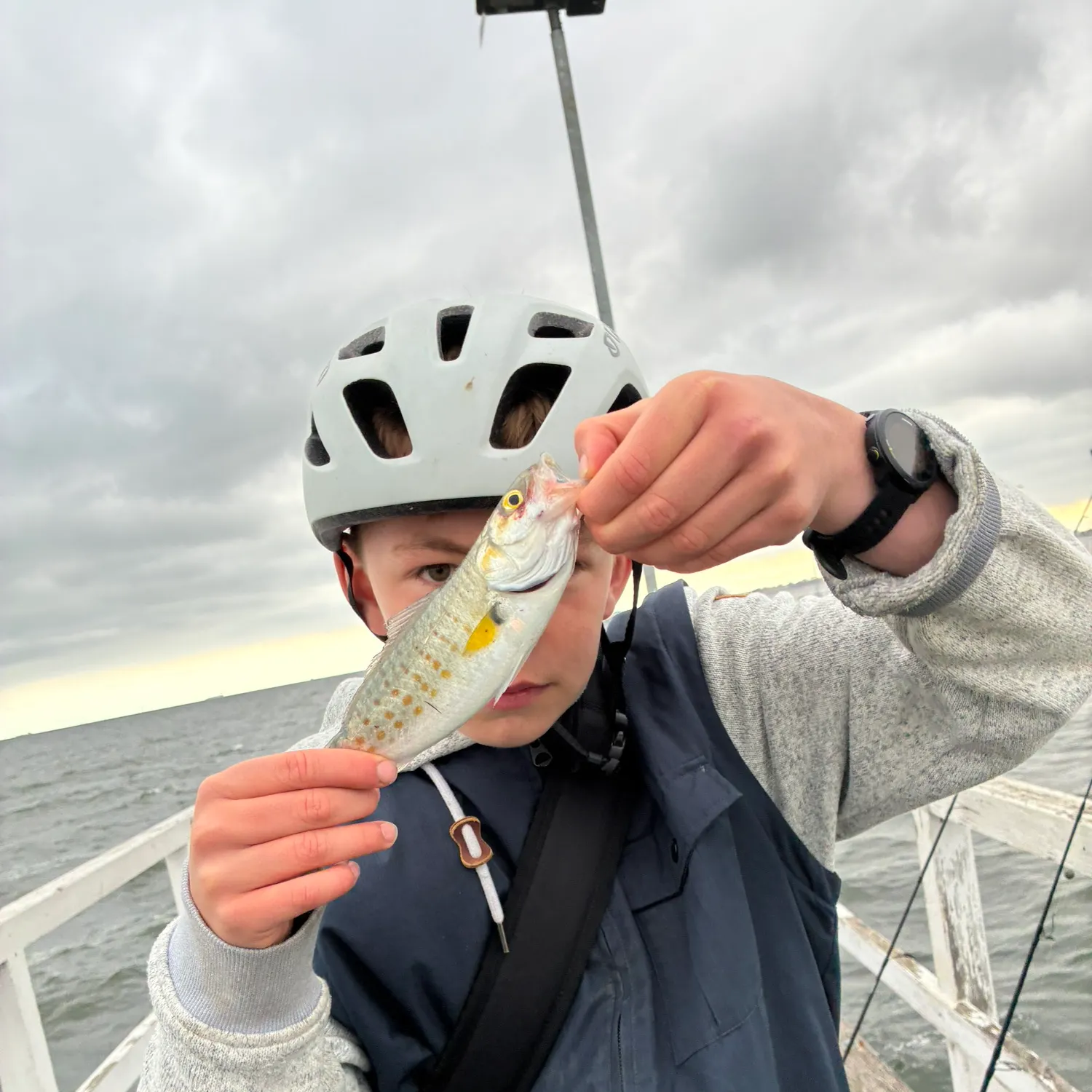Eastern Australian salmon caught on Fishbrain