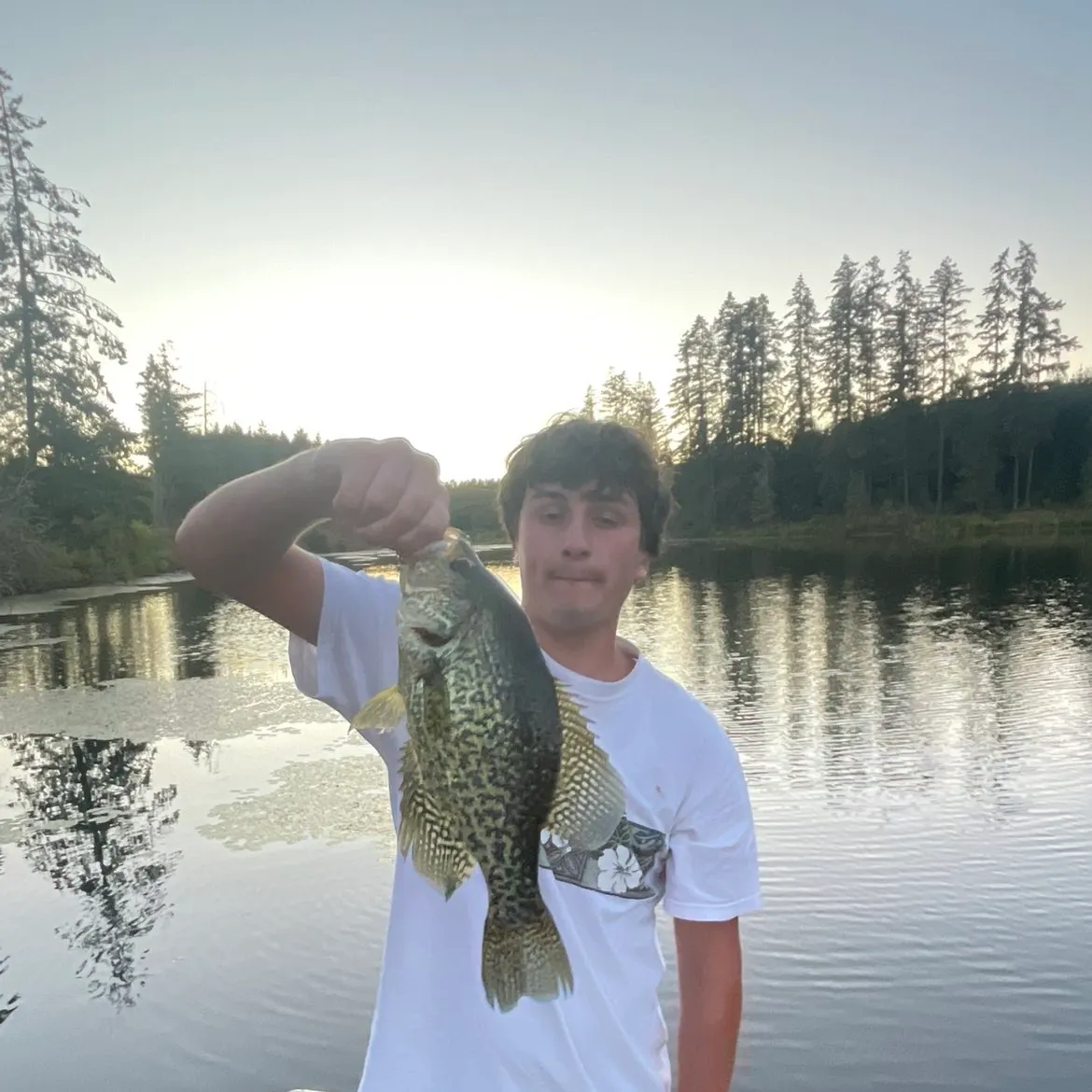 Black crappie caught on Fishbrain