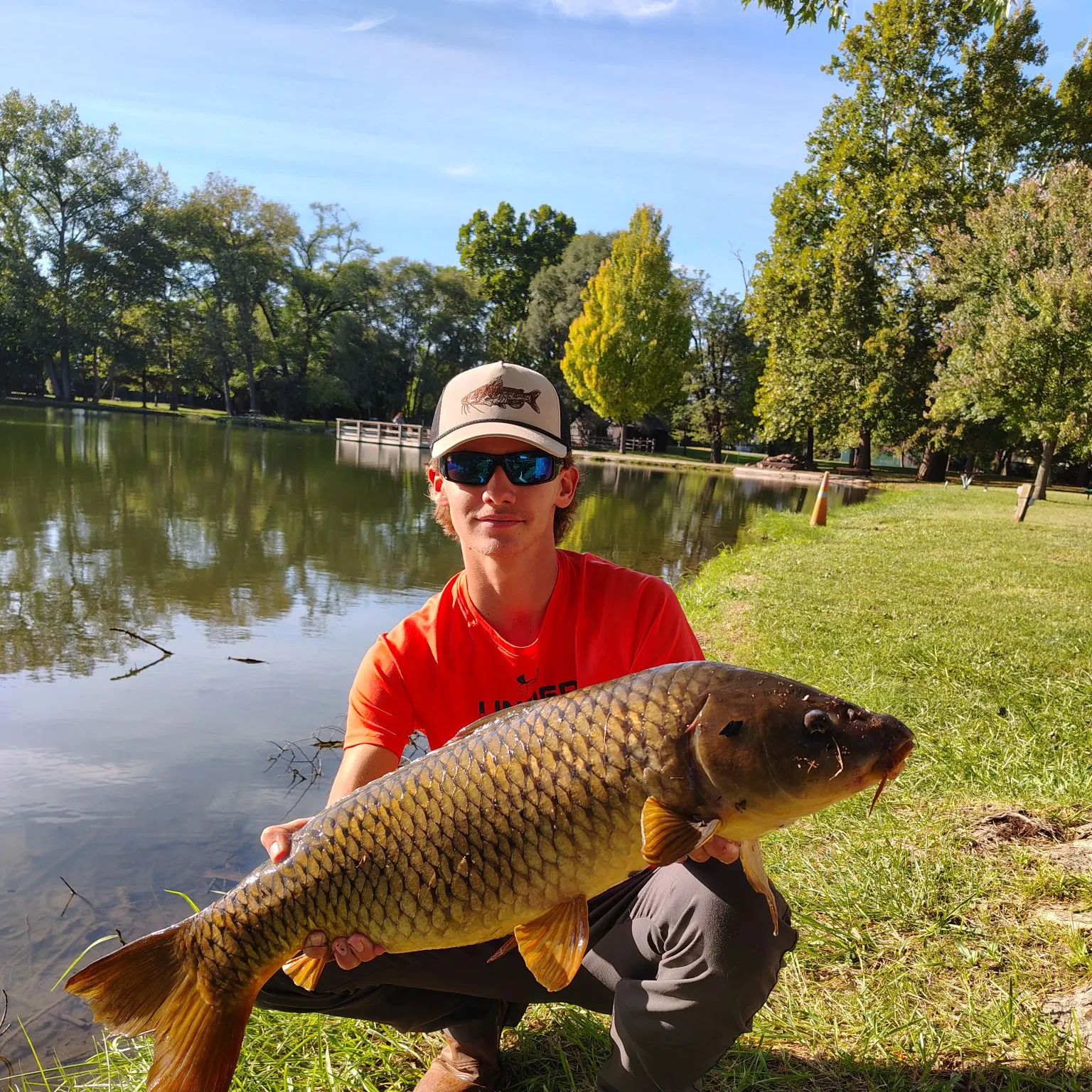 Common carp caught on Fishbrain