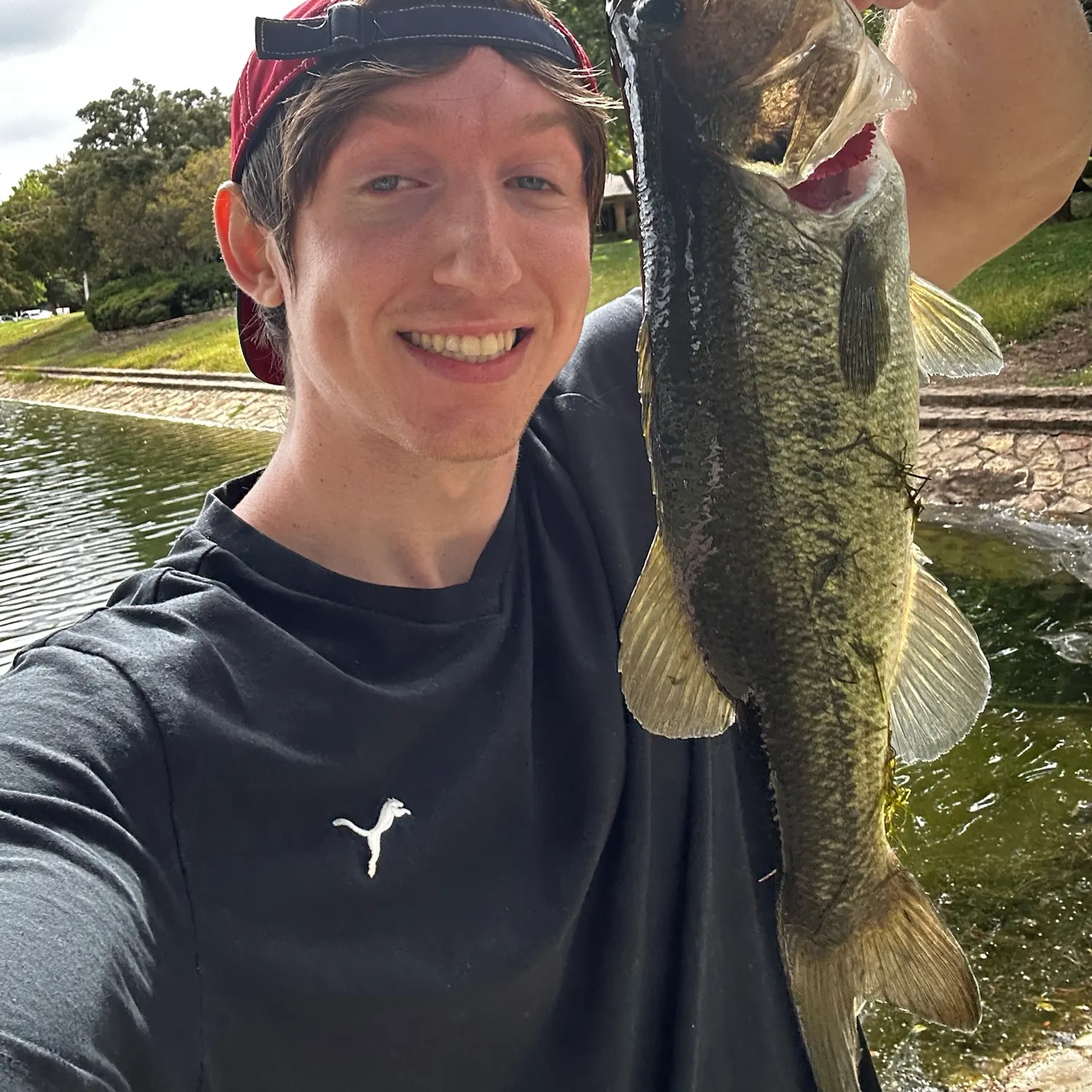 Largemouth bass caught on Fishbrain