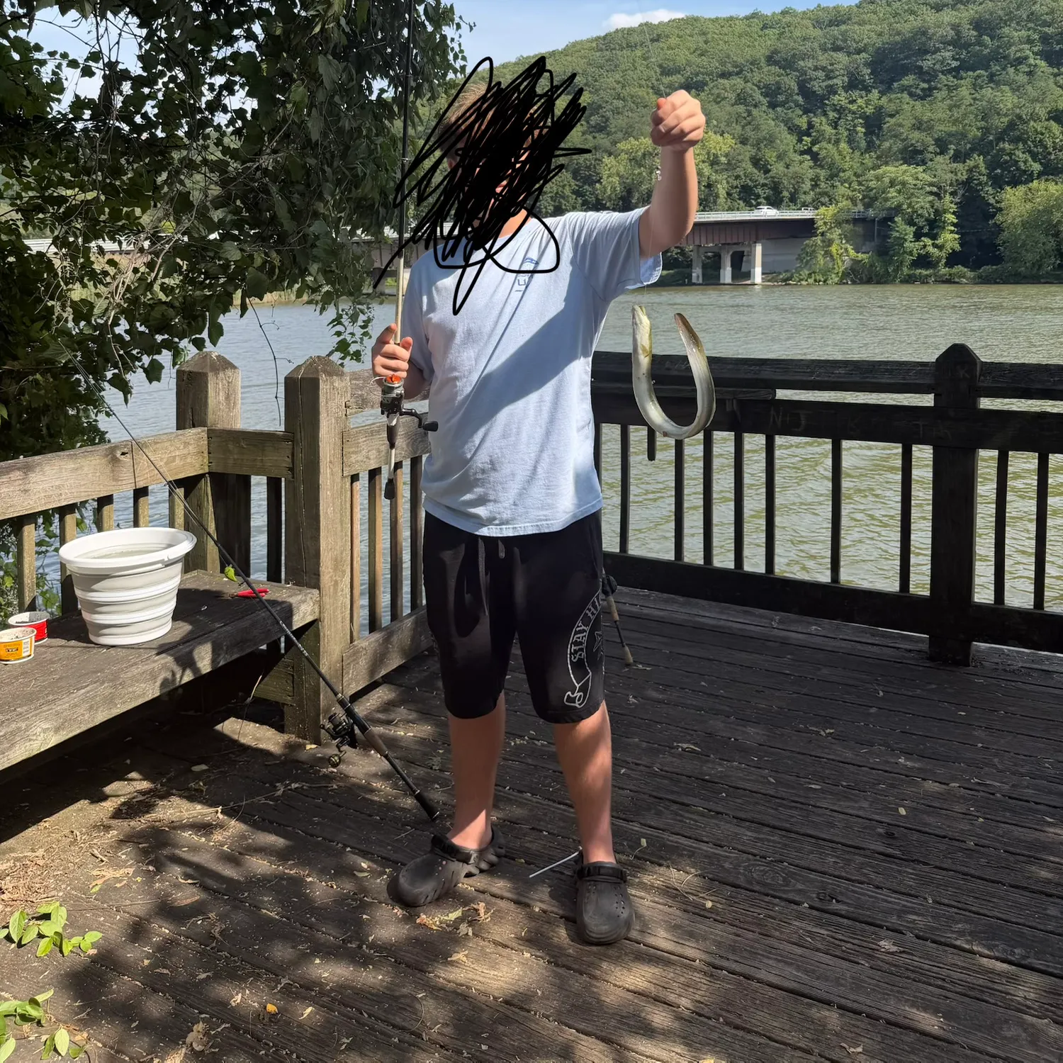 American eel caught on Fishbrain