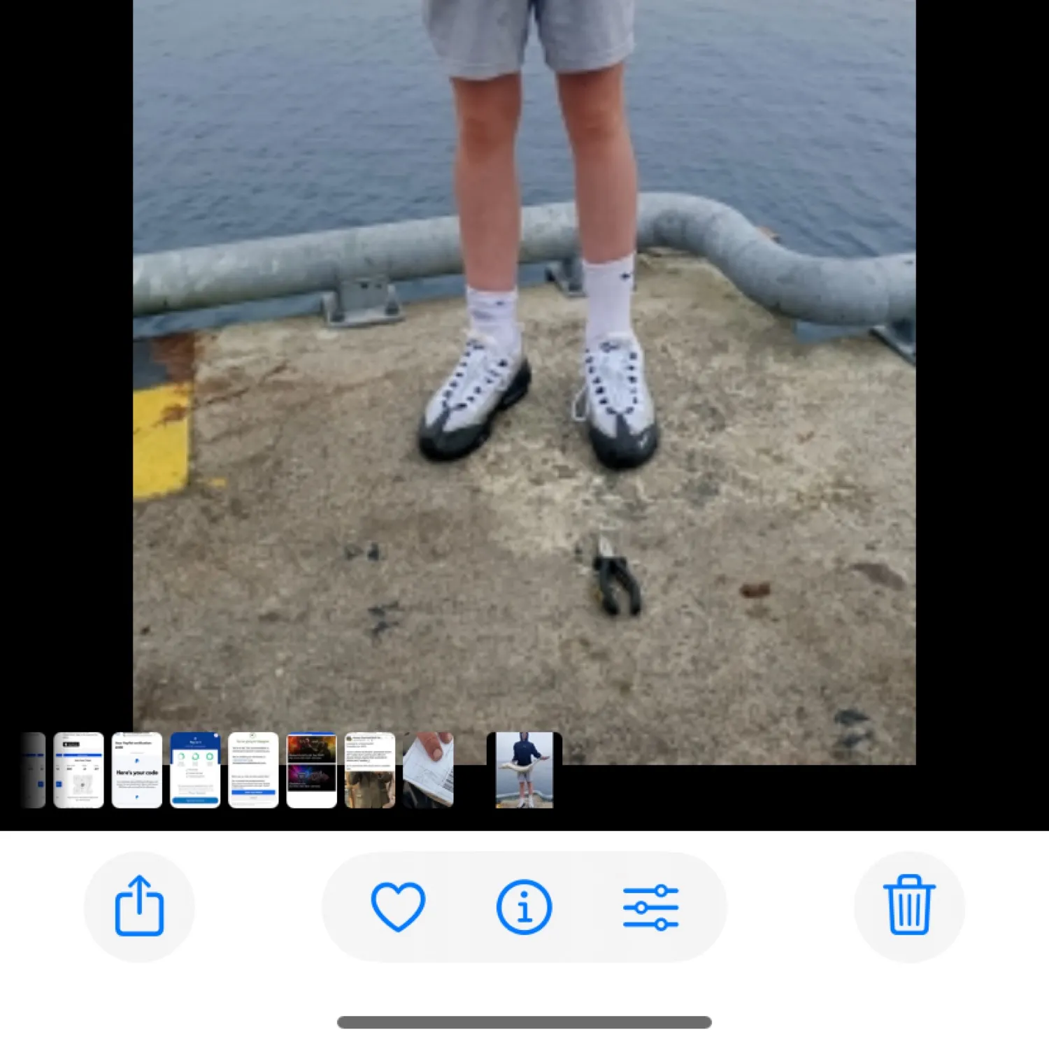 The most recent Shortnose spurdog catches on Fishbrain