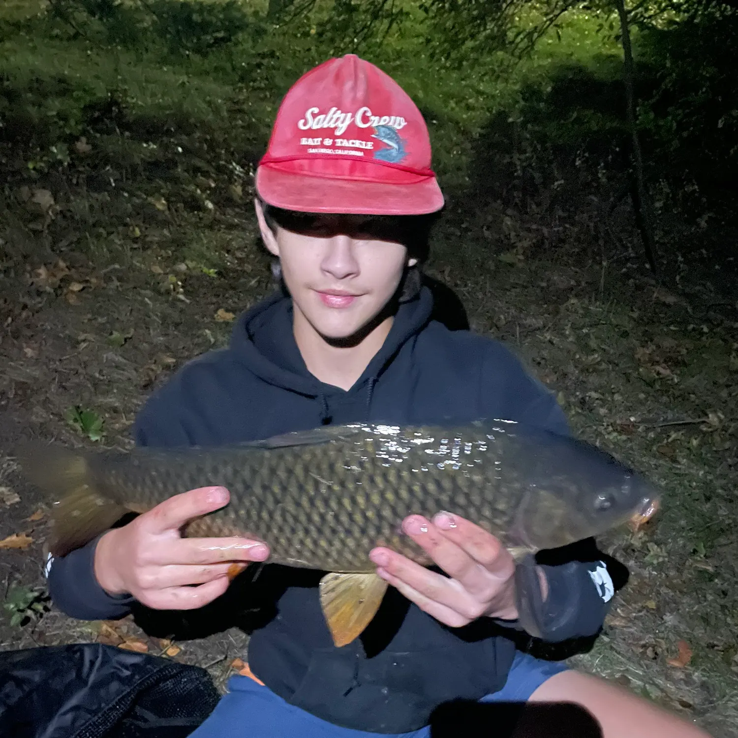 Common carp caught on Fishbrain