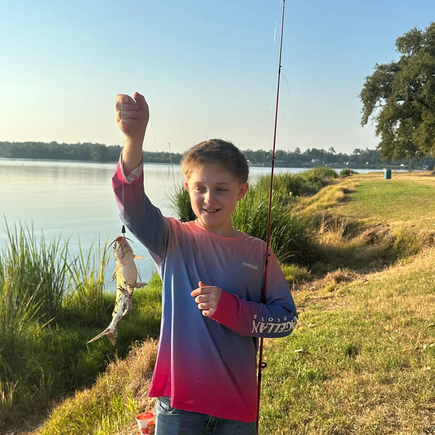 Channel catfish caught on Fishbrain