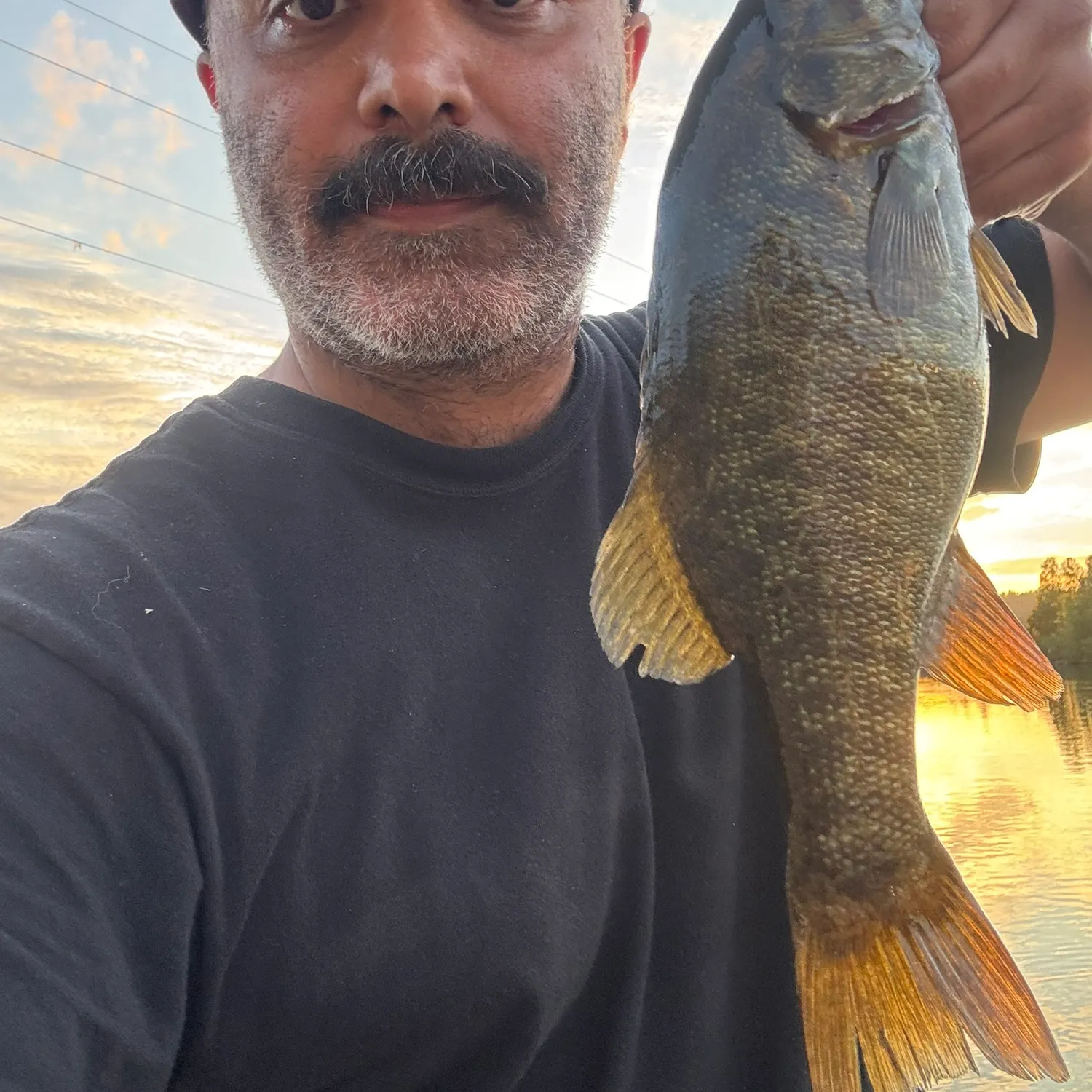 Smallmouth bass caught on Fishbrain