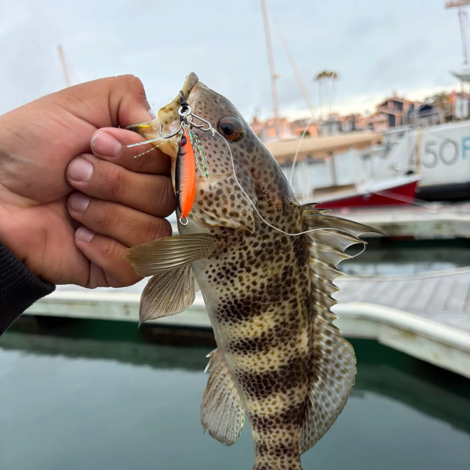 catch
