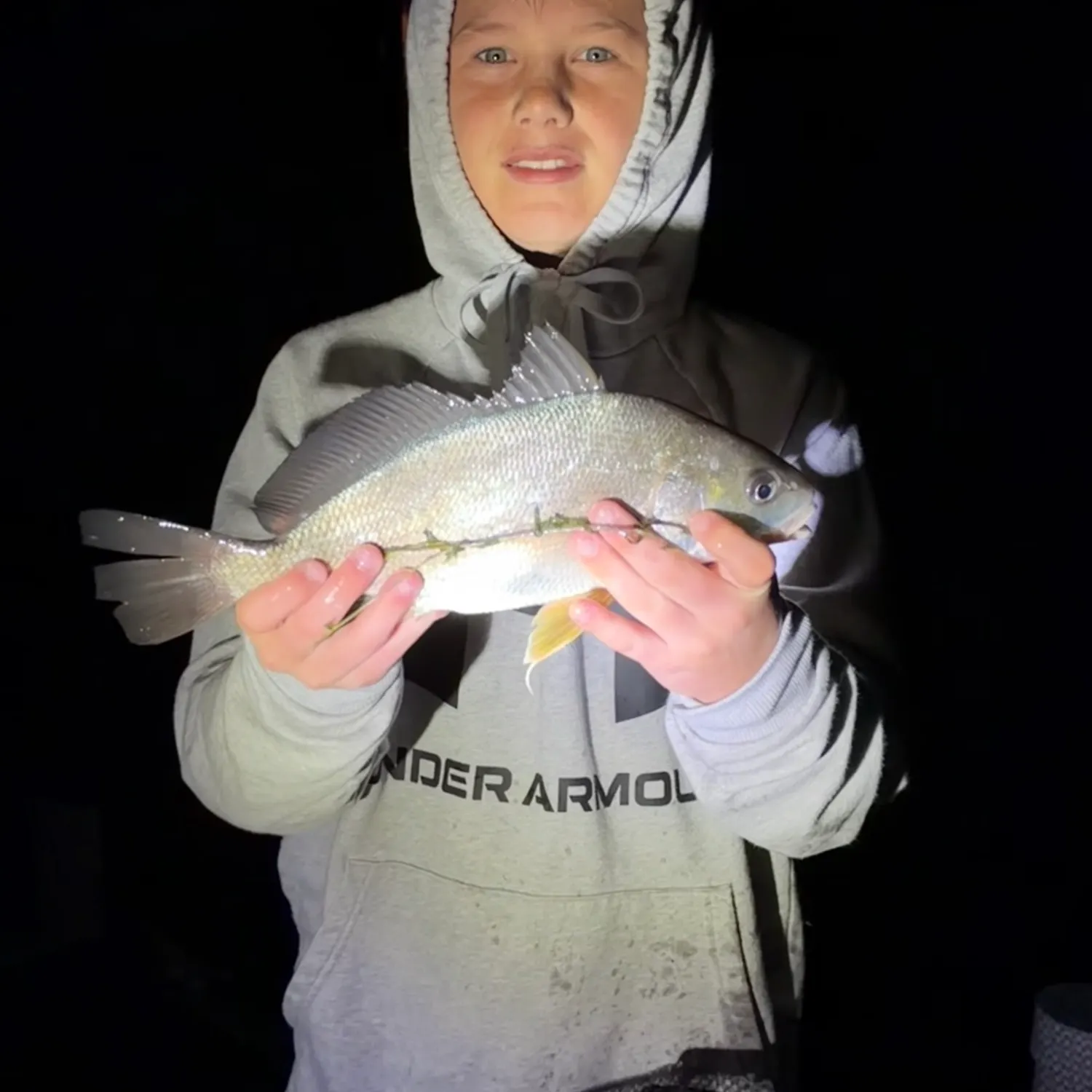 Freshwater drum caught on Fishbrain