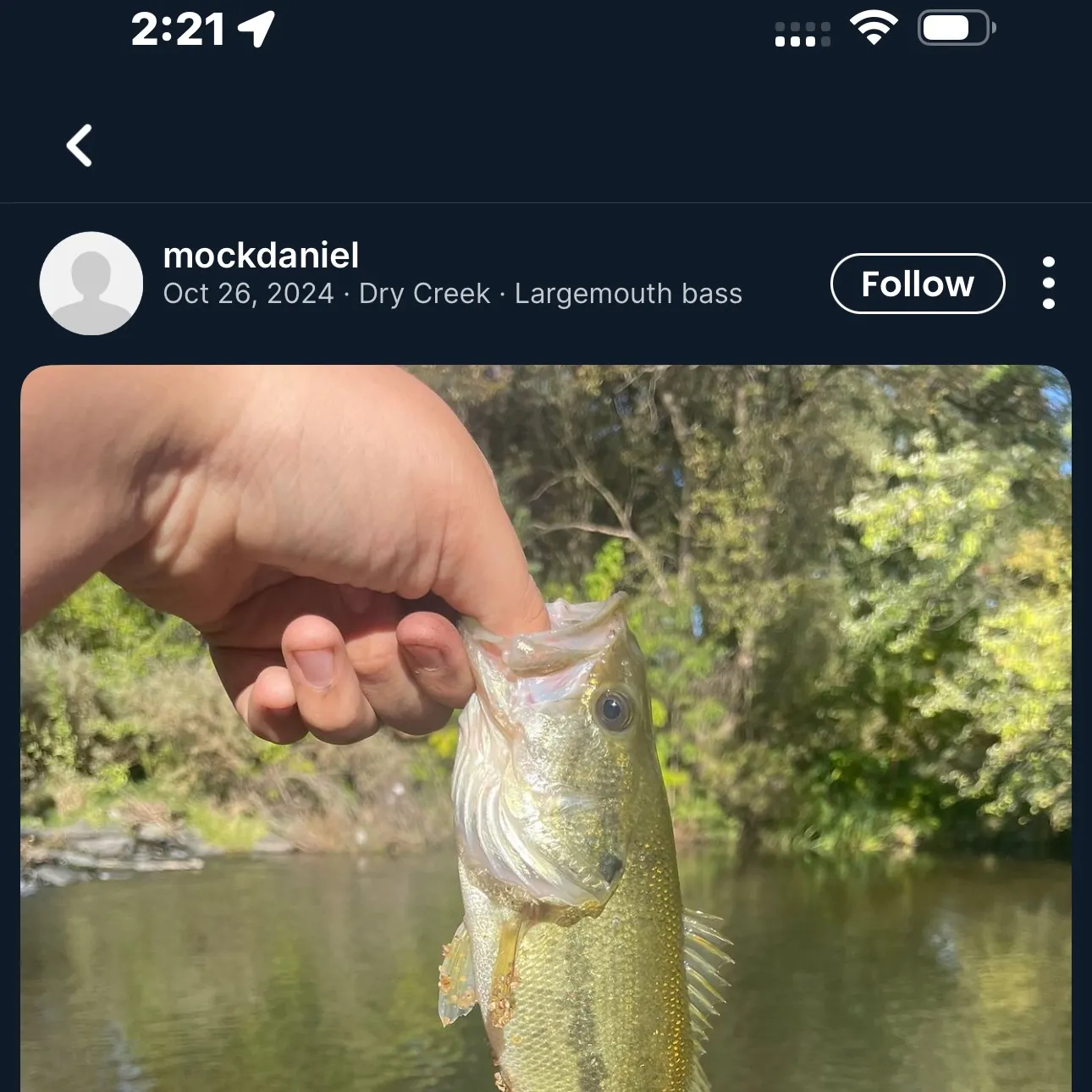 catch