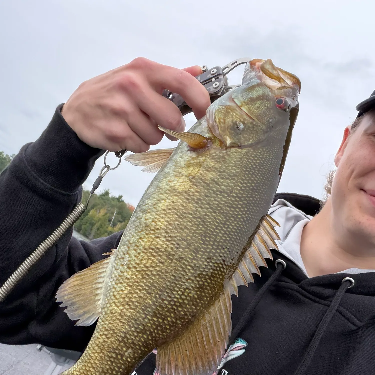 Smallmouth bass caught on Fishbrain