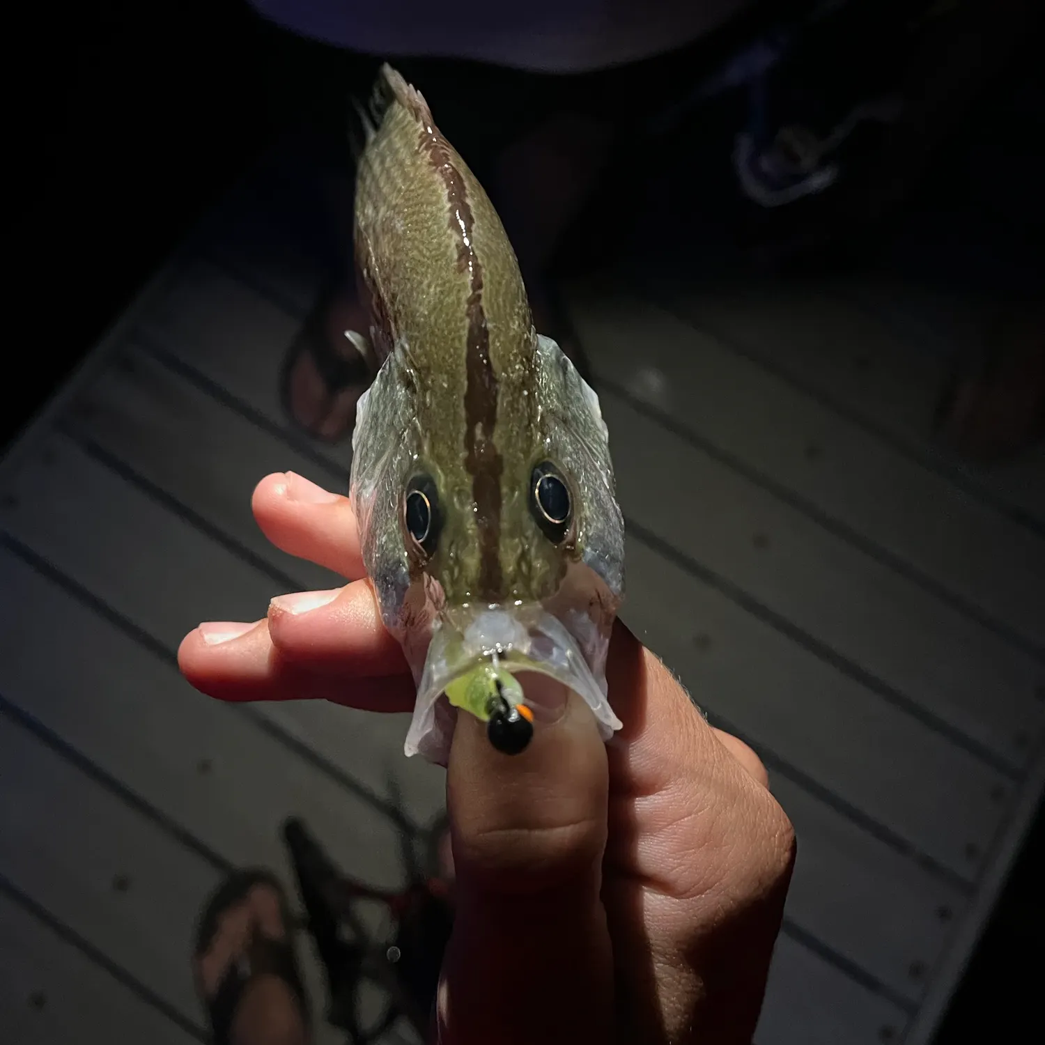 Magnolia crappie caught on Fishbrain