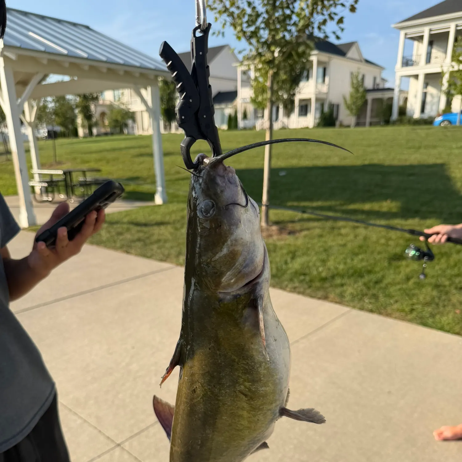 catch