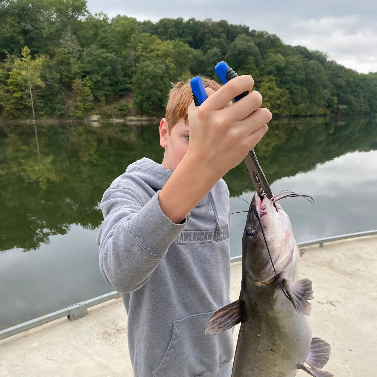 Channel catfish caught on Fishbrain