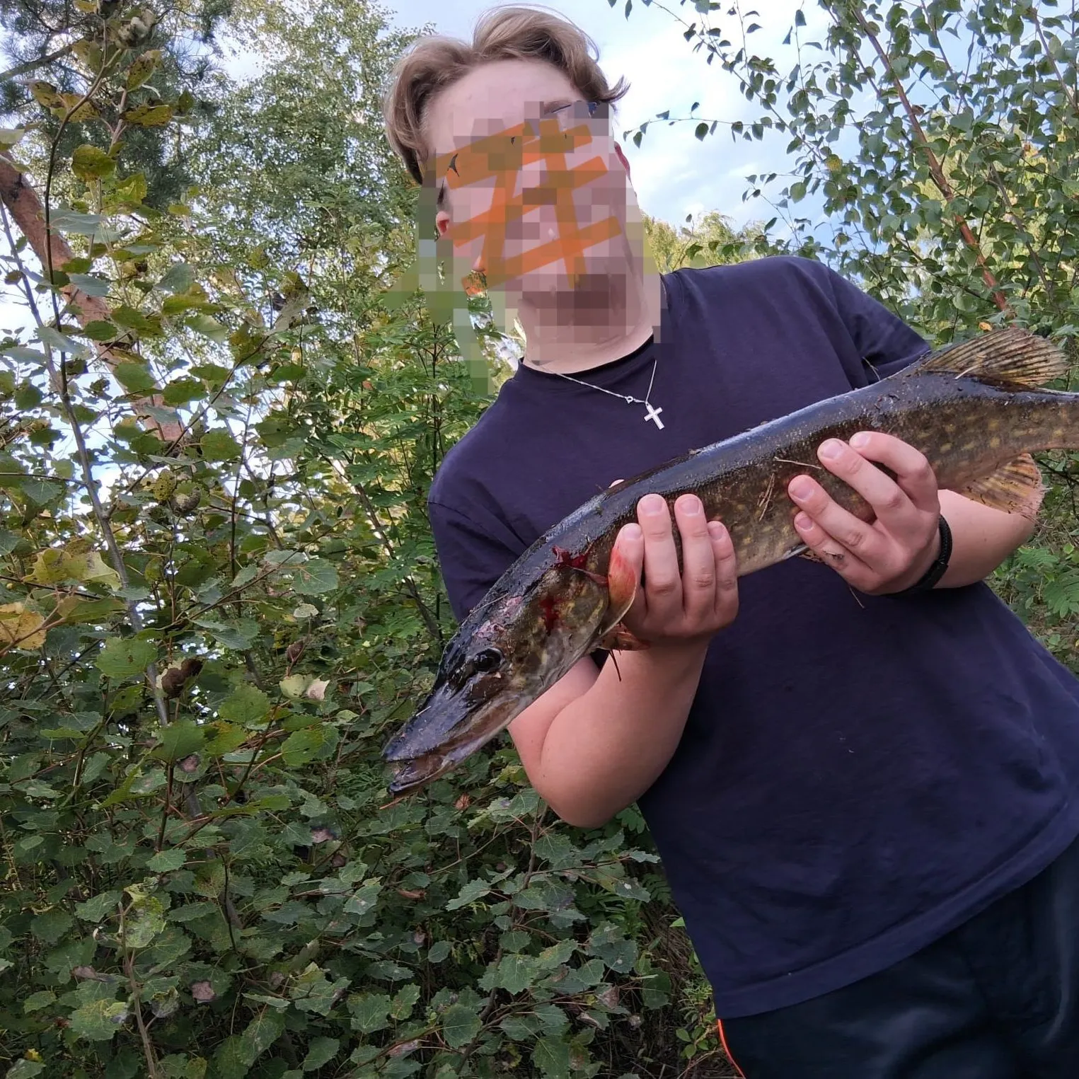 Northern pike caught on Fishbrain