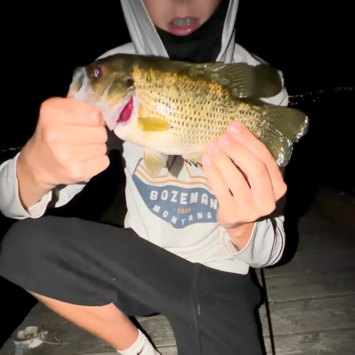 Rock bass caught on Fishbrain
