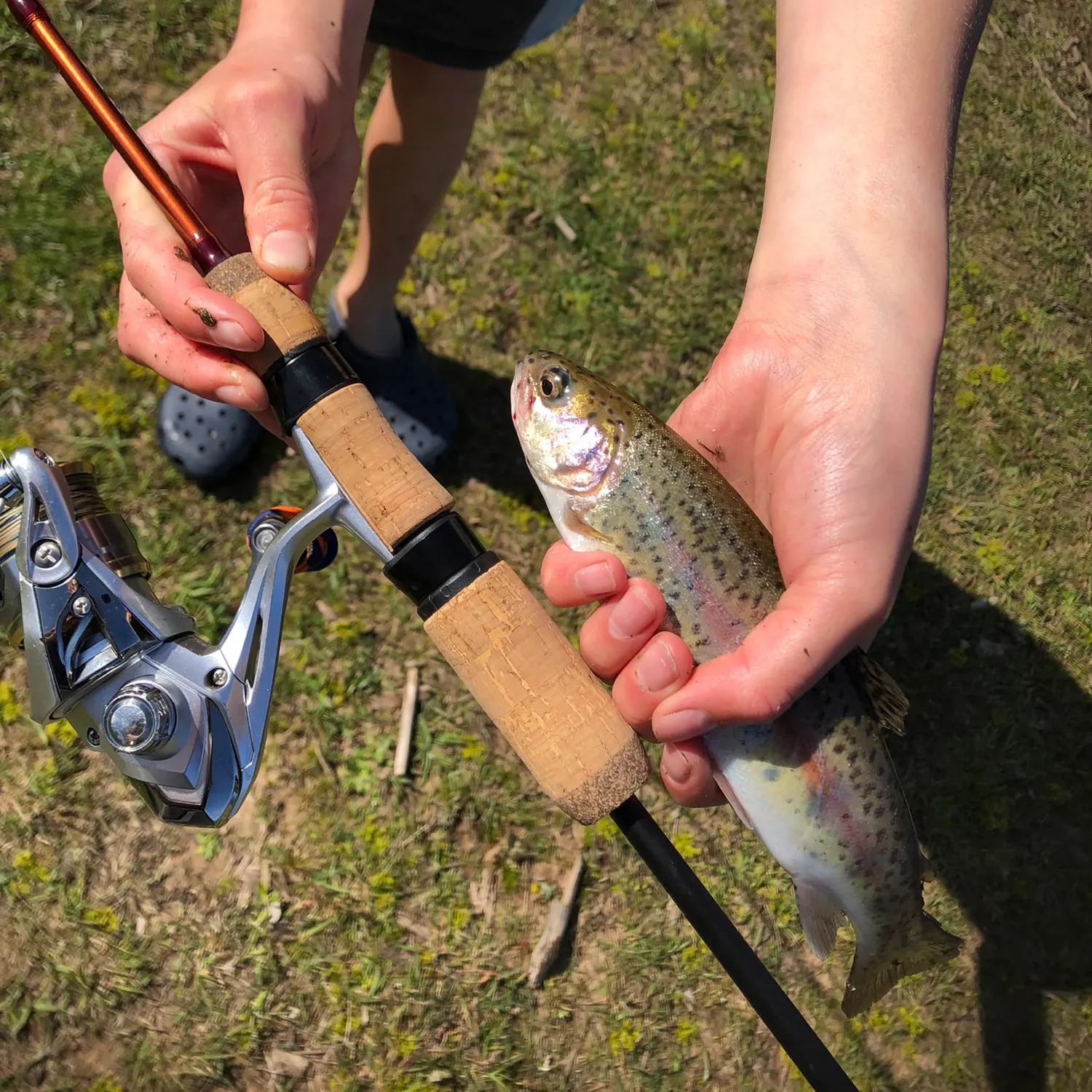 Rainbow trout caught on Fishbrain
