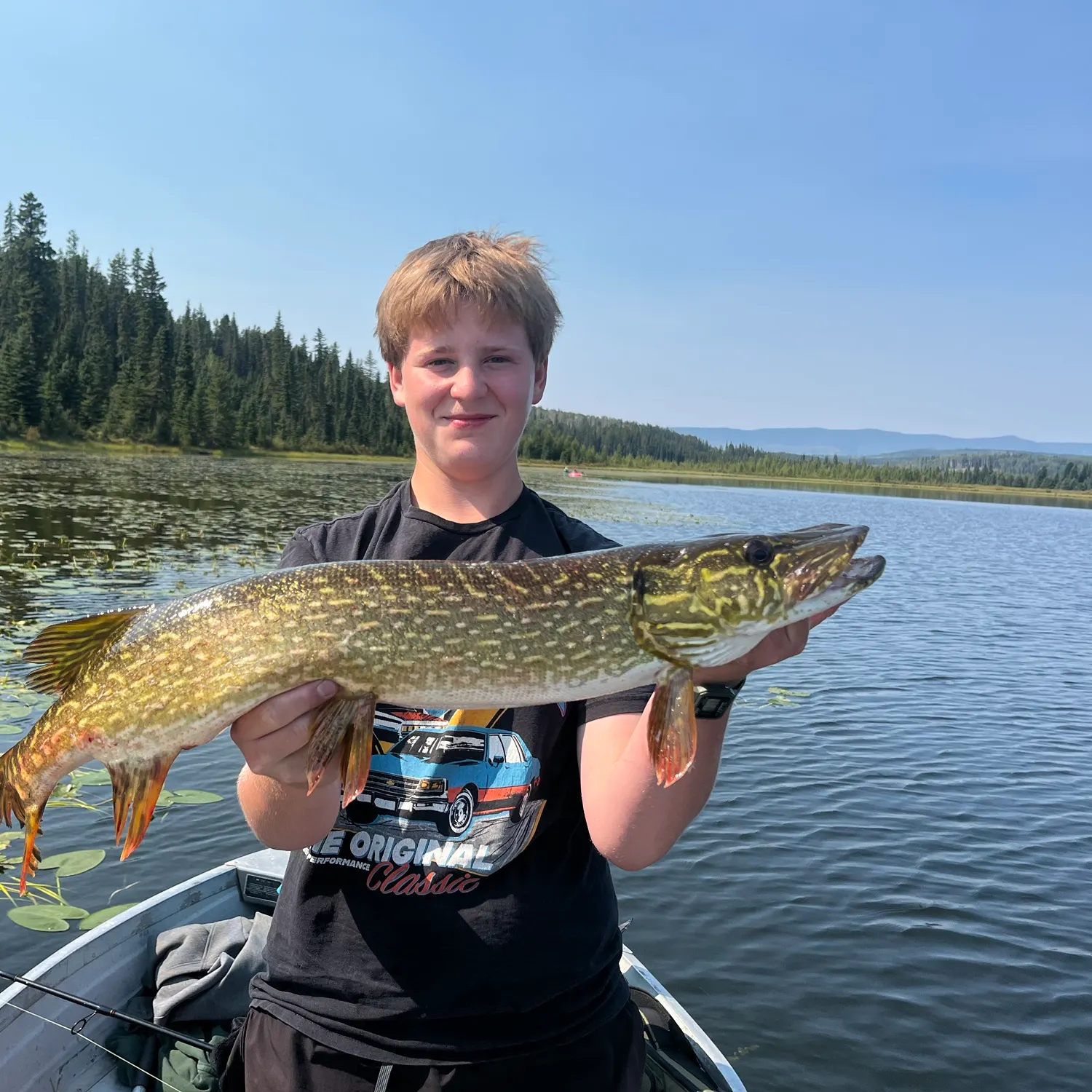 Northern pike caught on Fishbrain