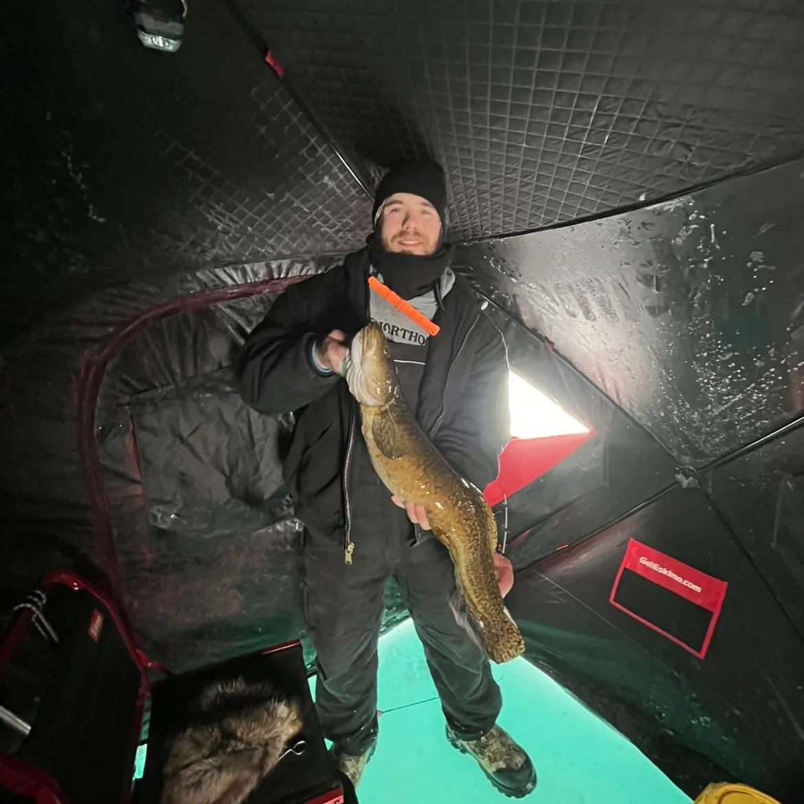 The most recent Burbot catches on Fishbrain
