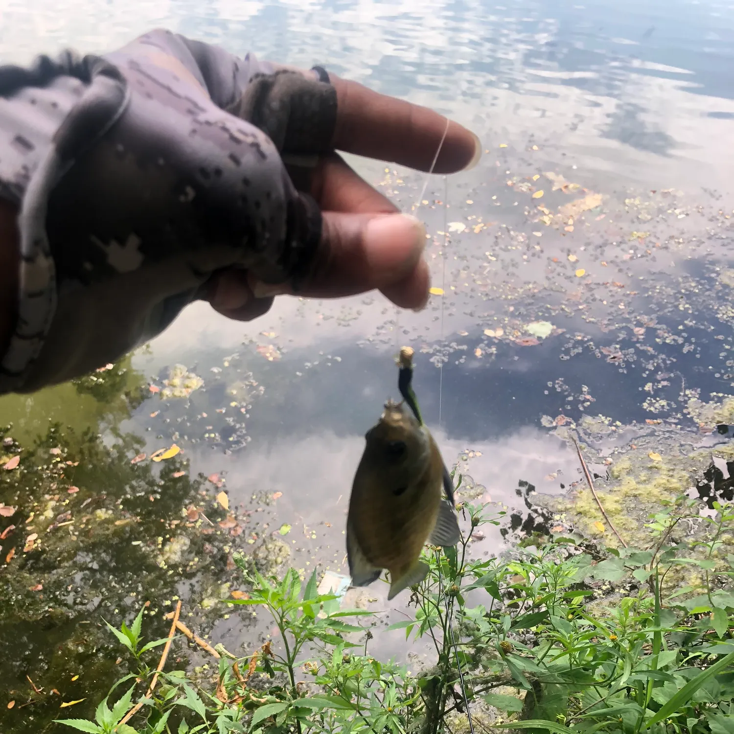 catch