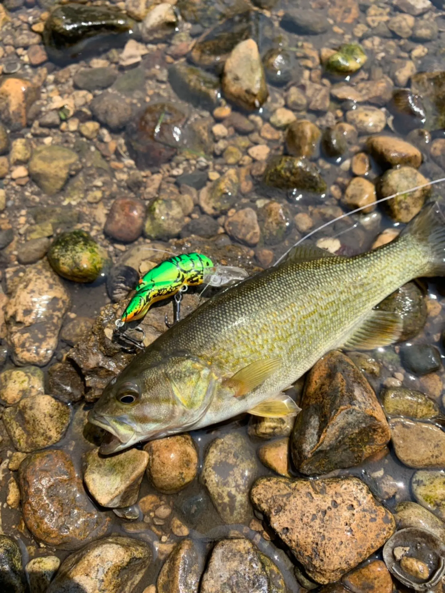 Post image from brandoncarstens