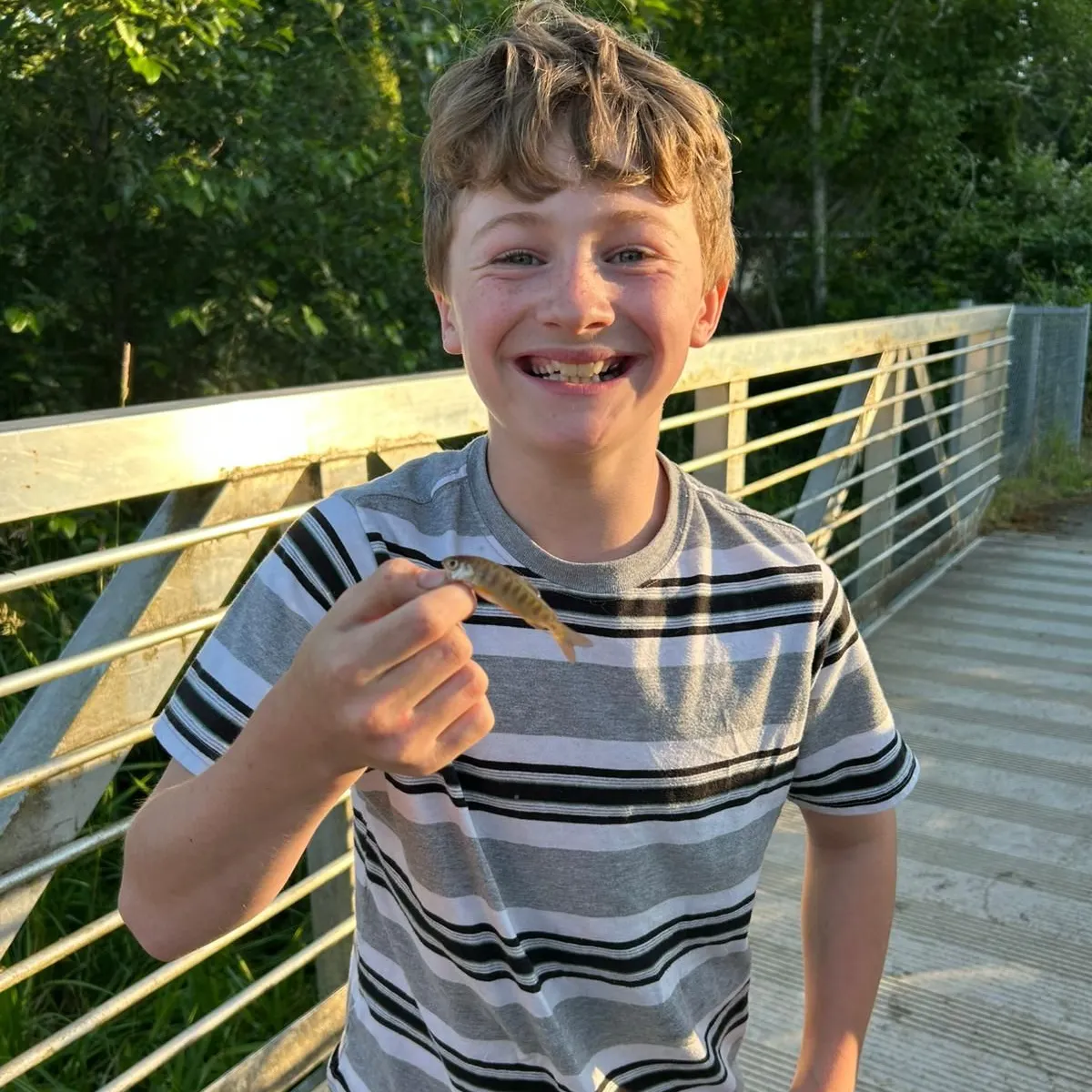 The most recent Cherry salmon catches on Fishbrain