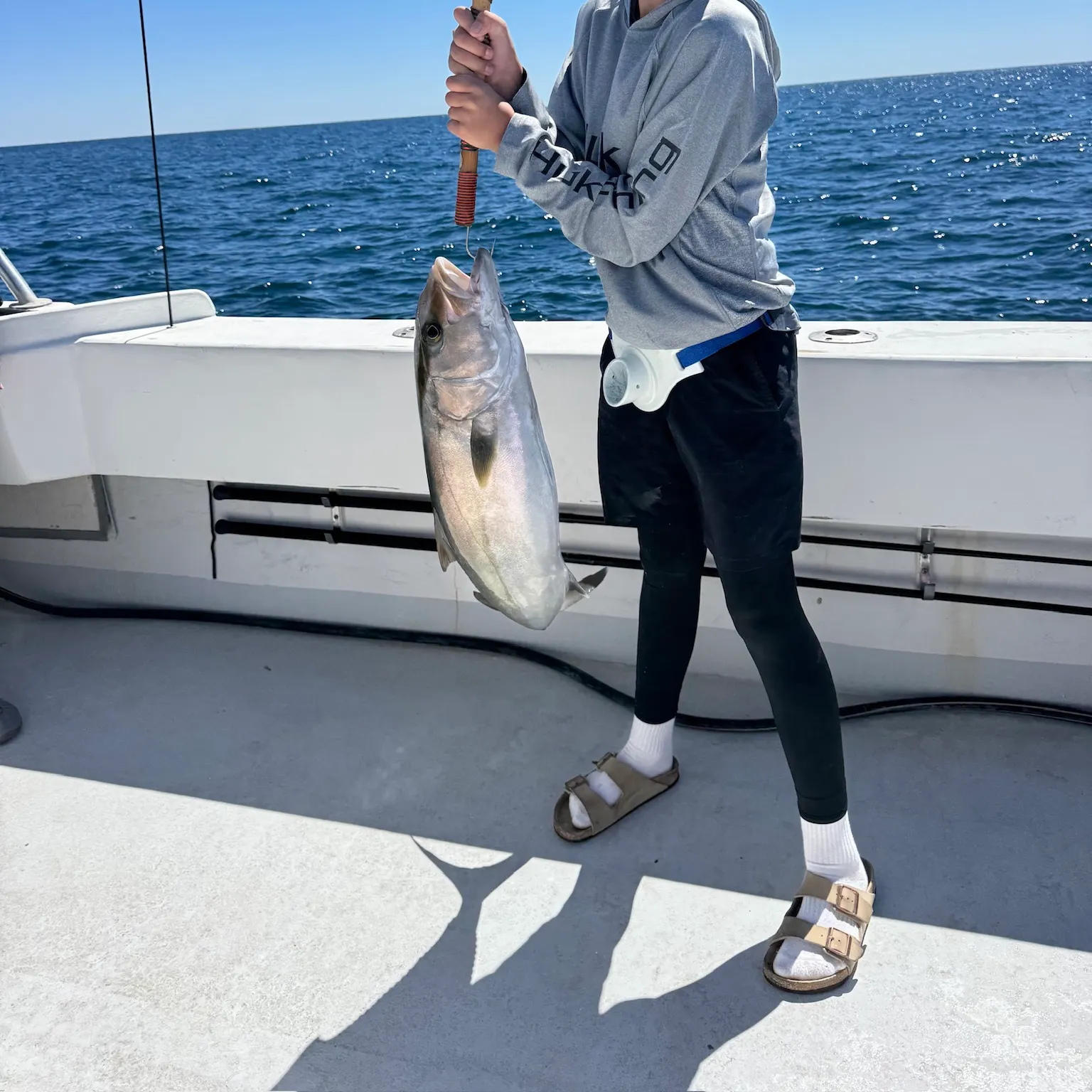 The most recent Greater amberjack catches on Fishbrain
