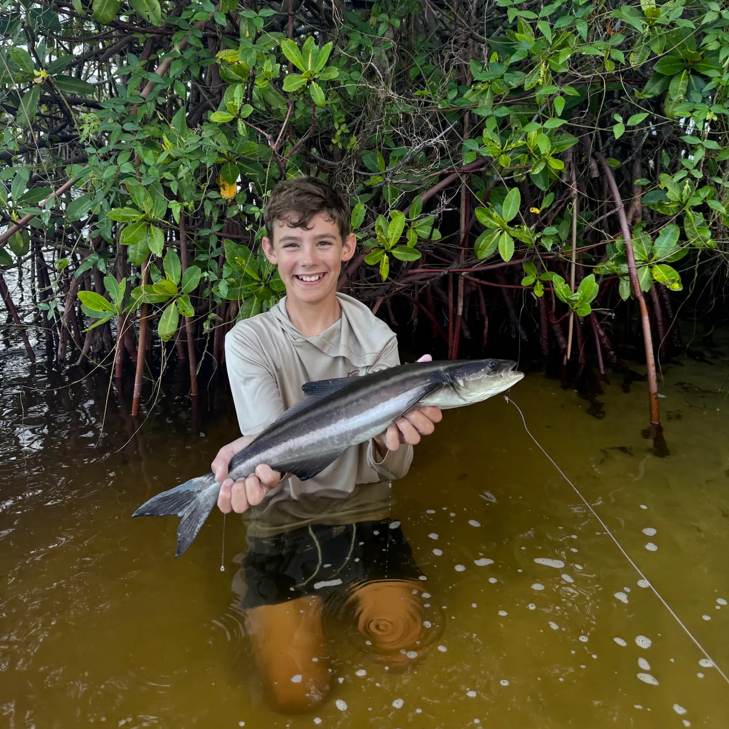 The most recent Cobia catches on Fishbrain