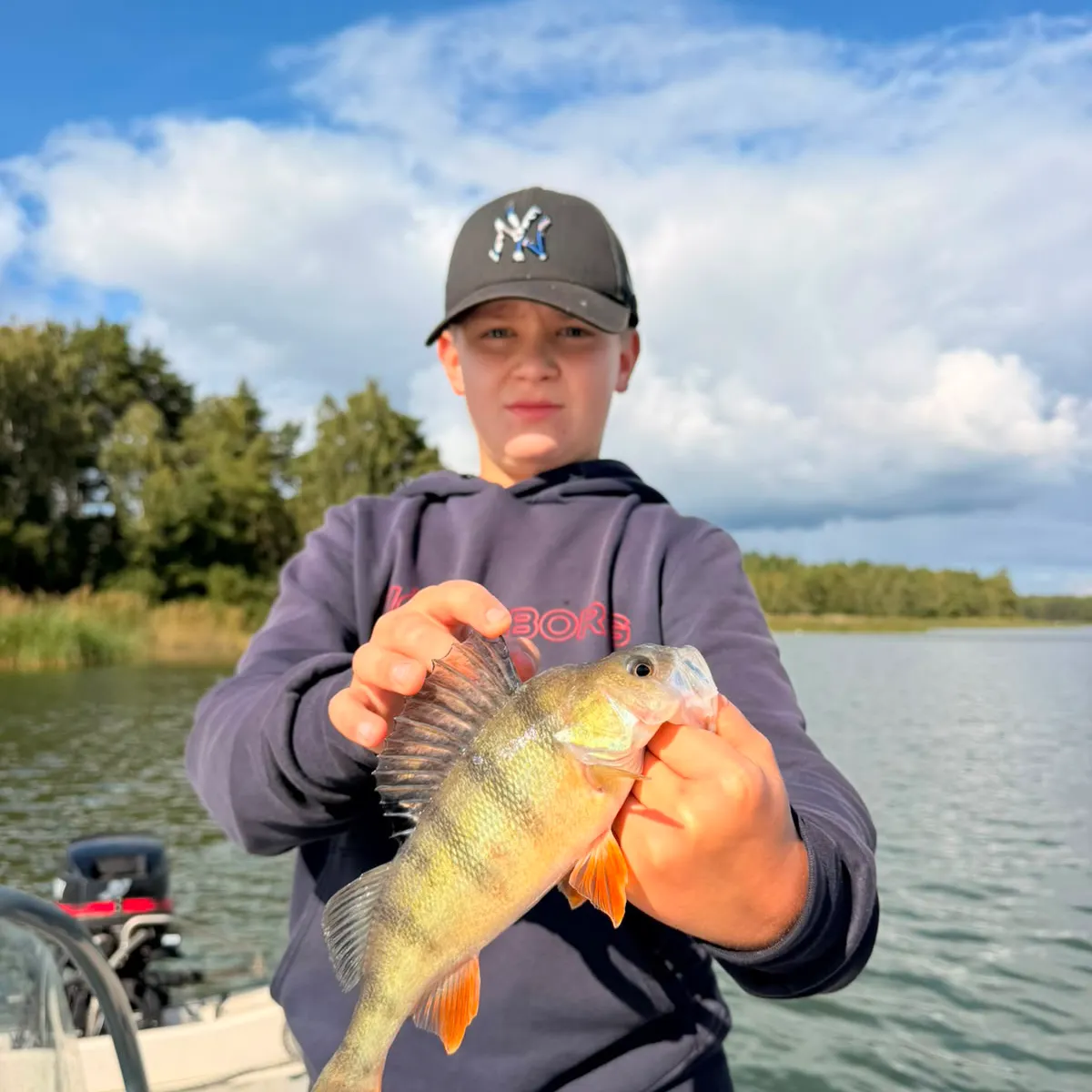 European perch caught on Fishbrain