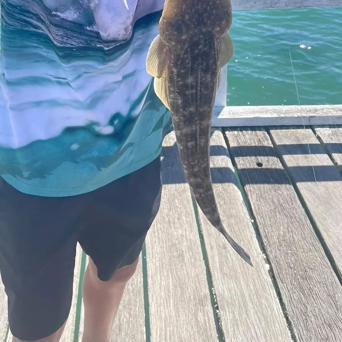 Dusky flathead caught on Fishbrain