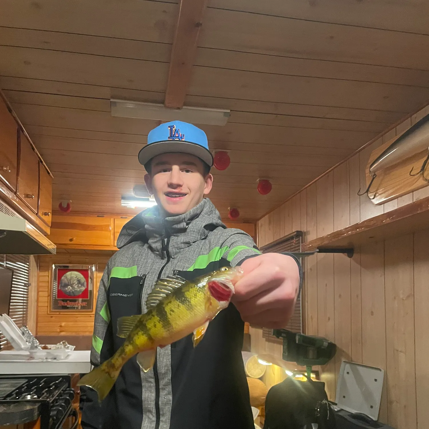 The most recent Yellow perch catches on Fishbrain