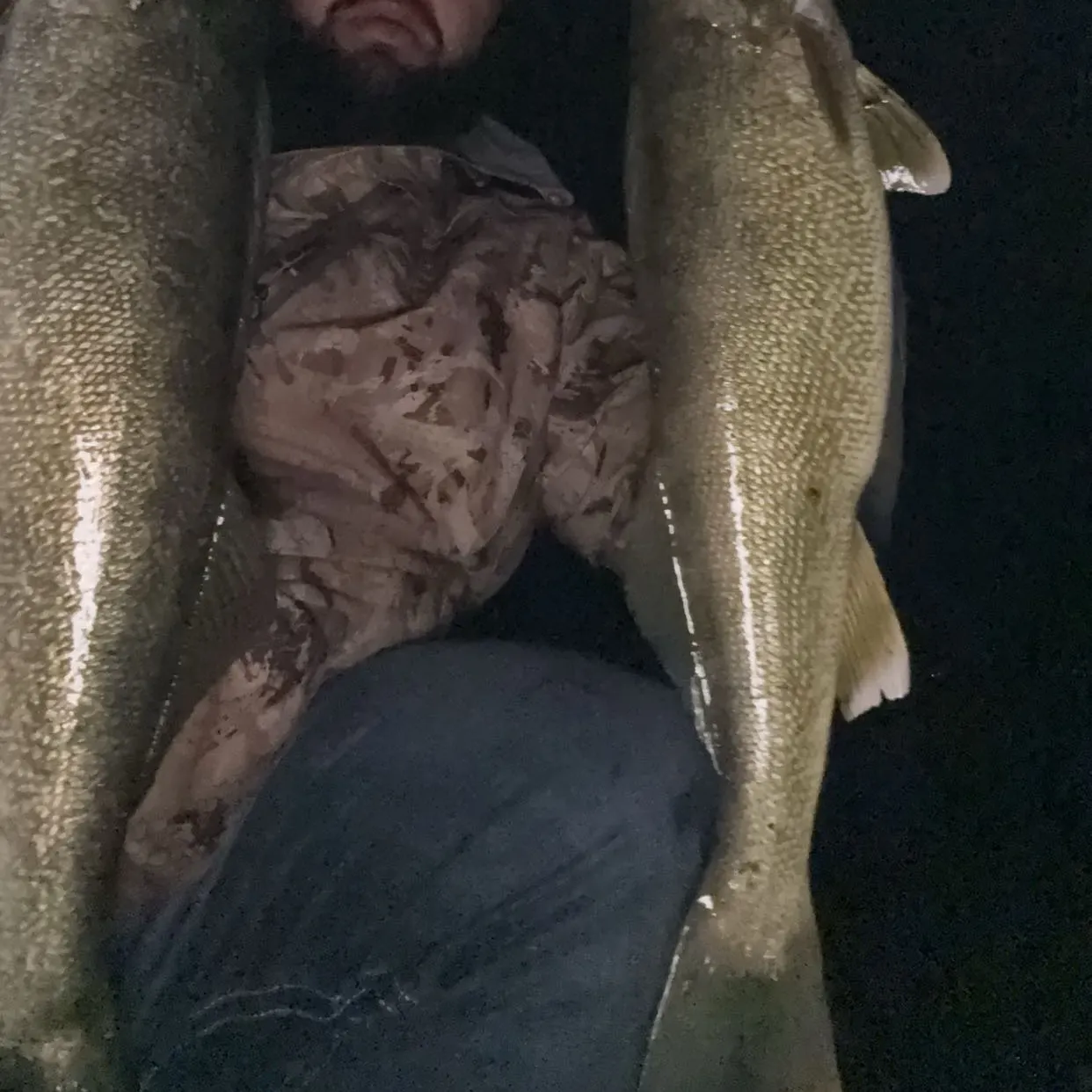 The most recent Walleye catches on Fishbrain