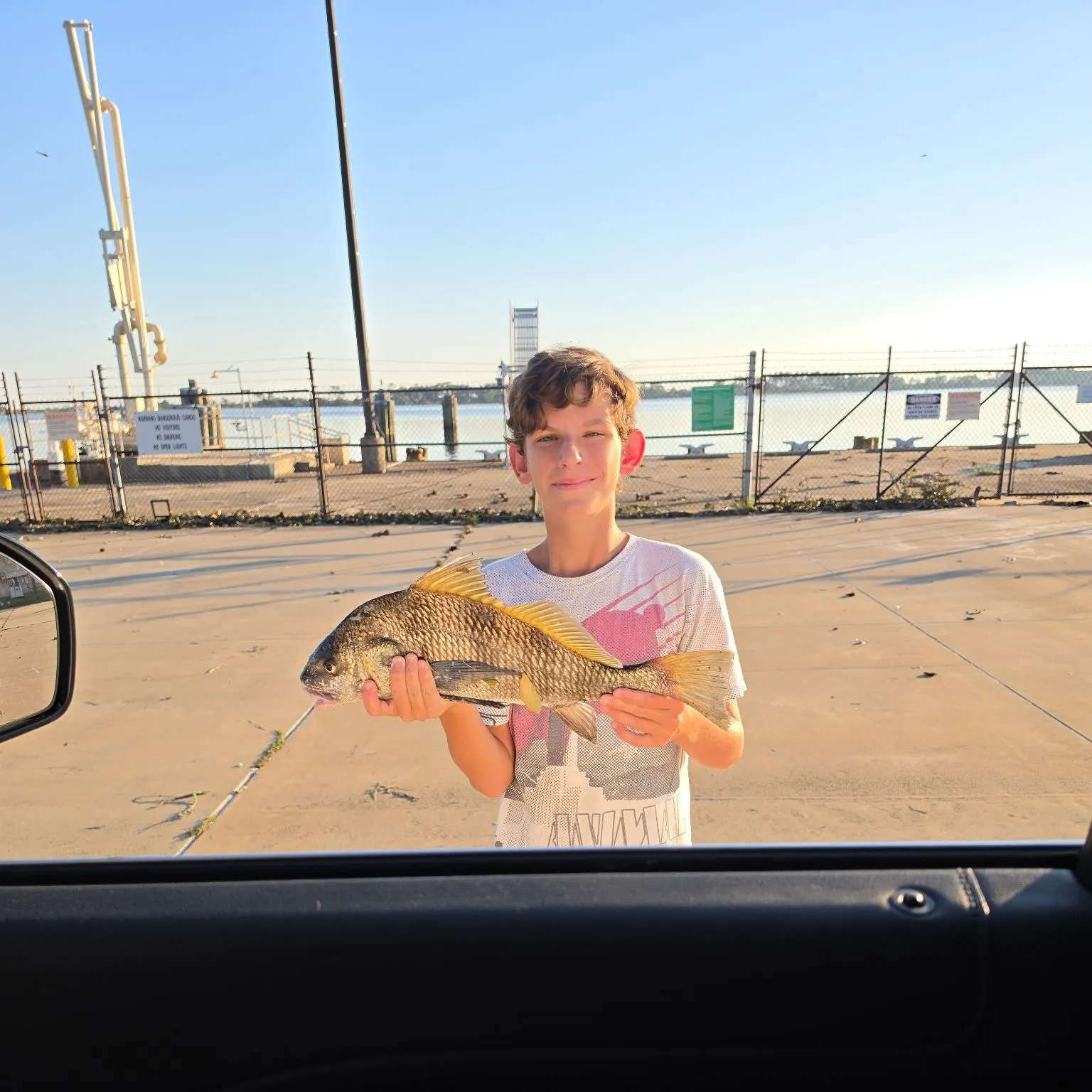 The most recent Black drum catches on Fishbrain