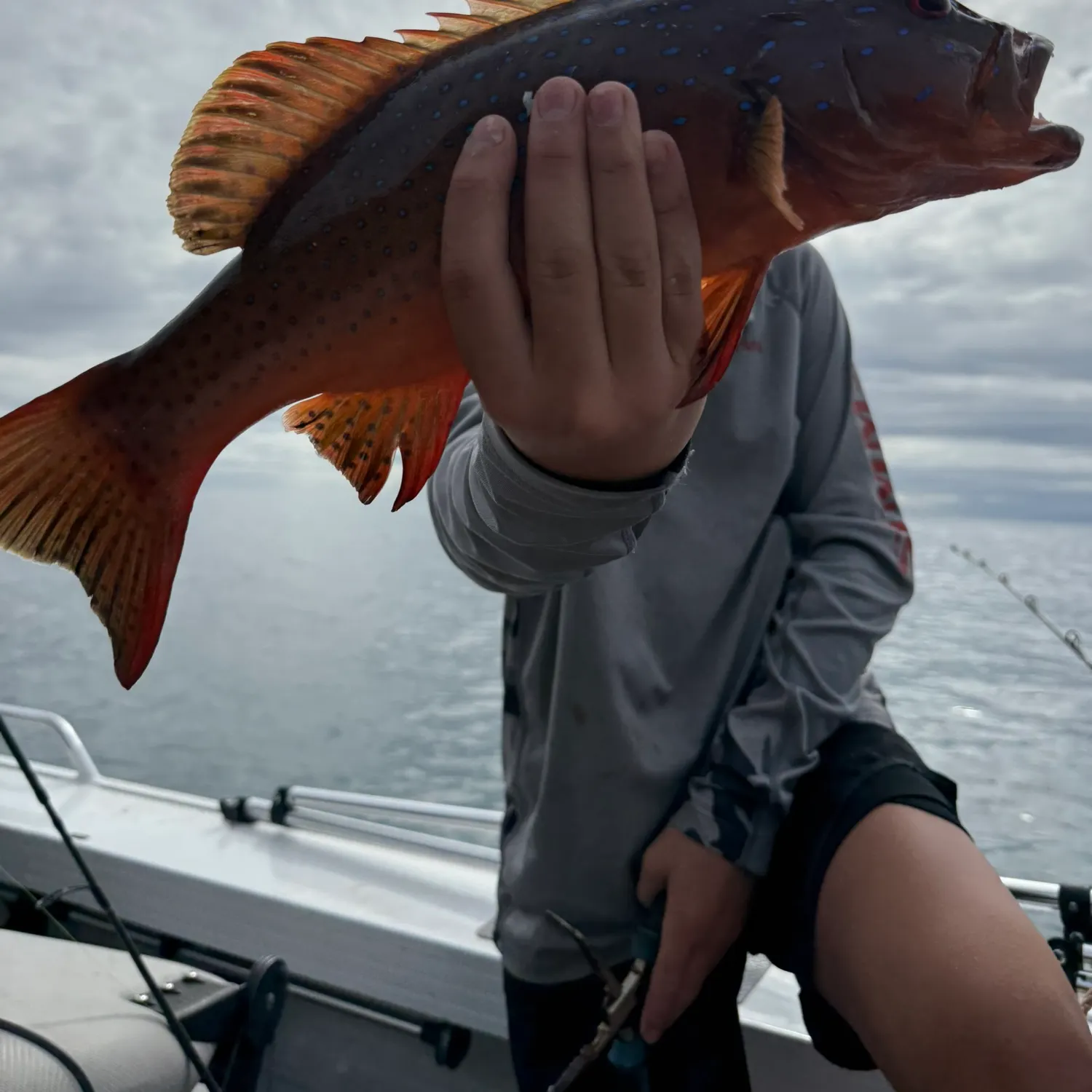 The most recent Leopard coralgrouper catches on Fishbrain