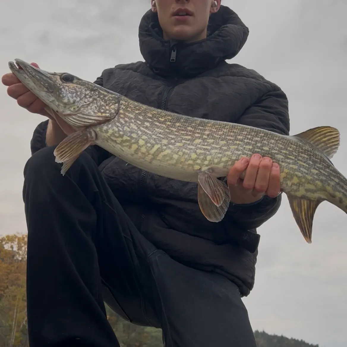 Northern pike caught on Fishbrain