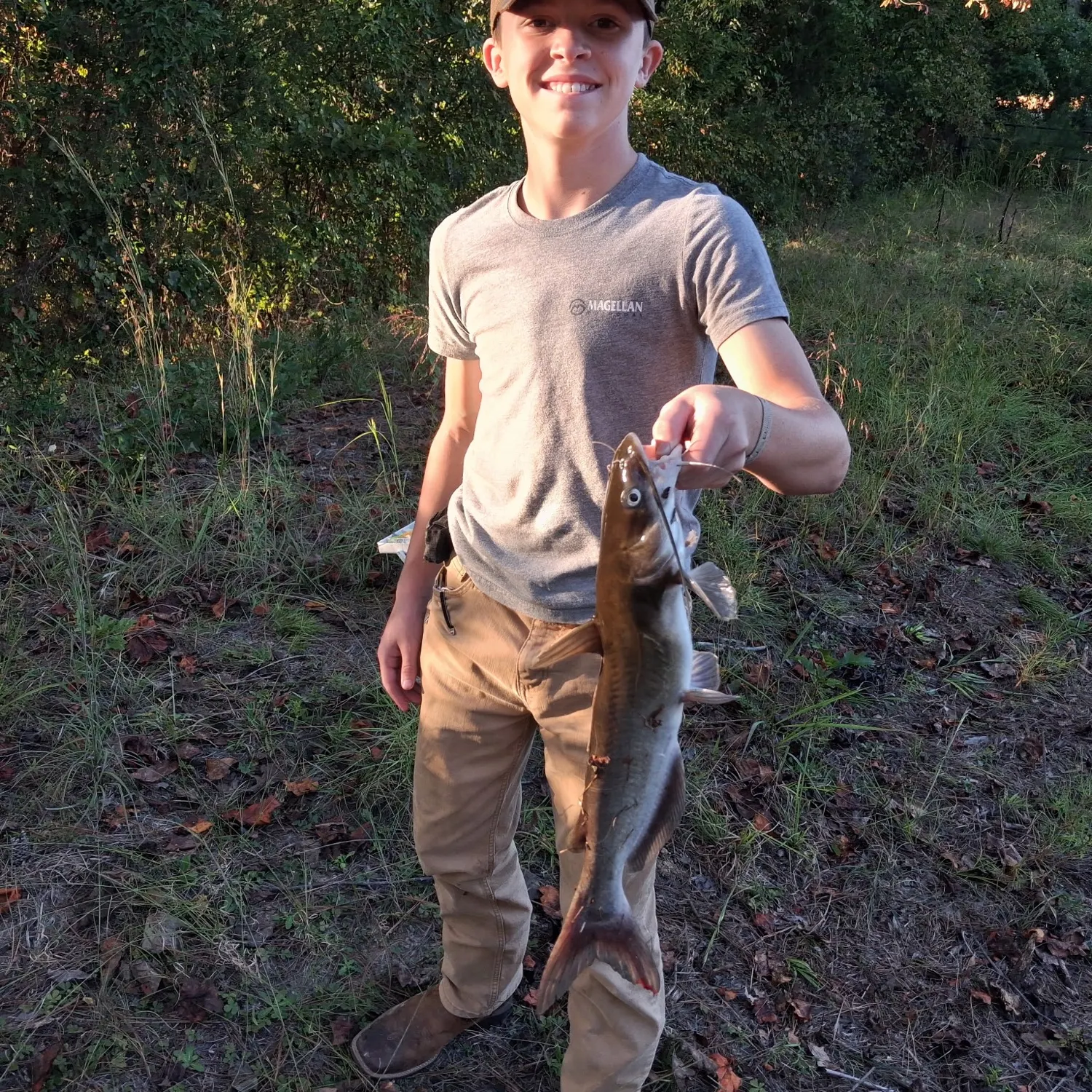 Channel catfish caught on Fishbrain