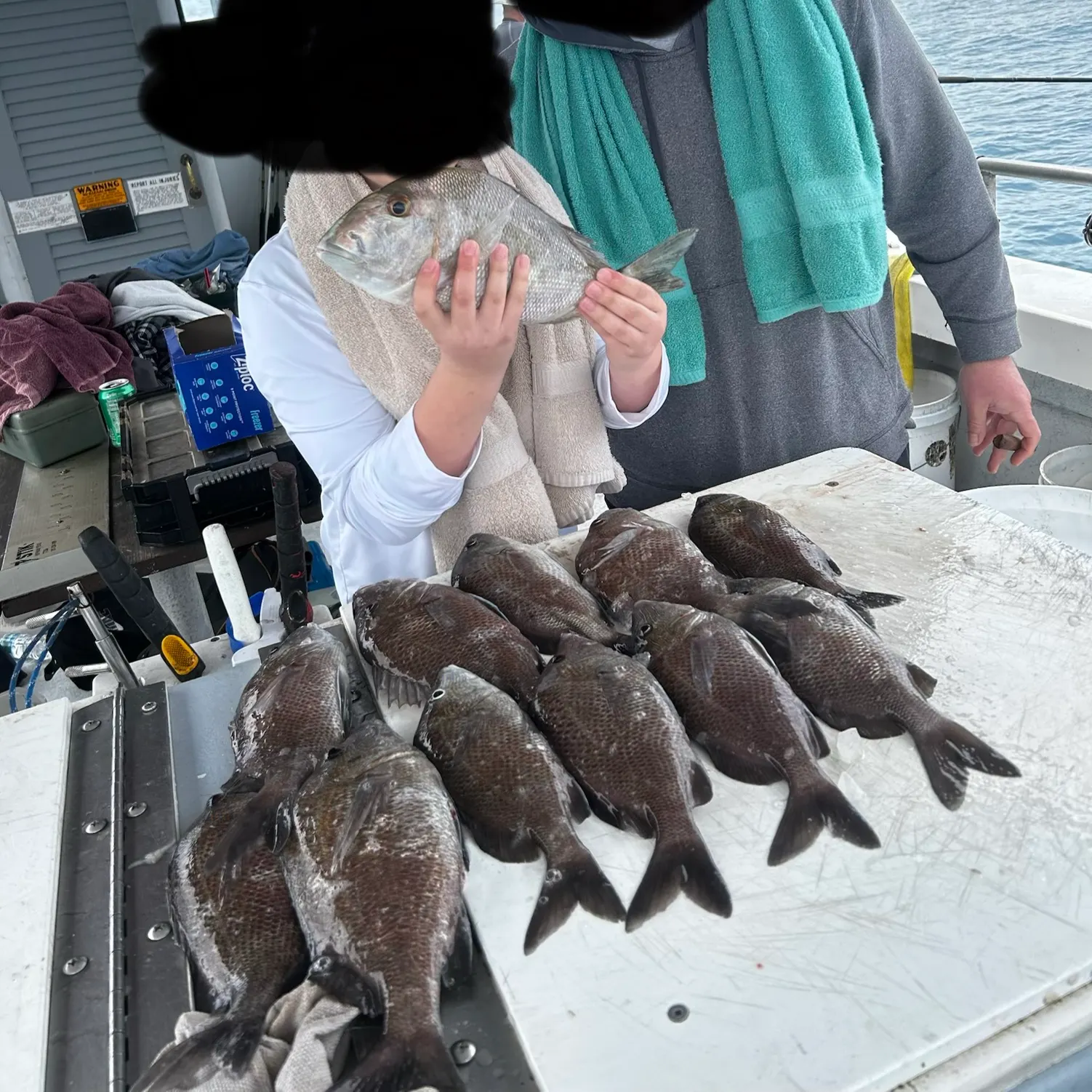 The most recent Atlantic tripletail catches on Fishbrain