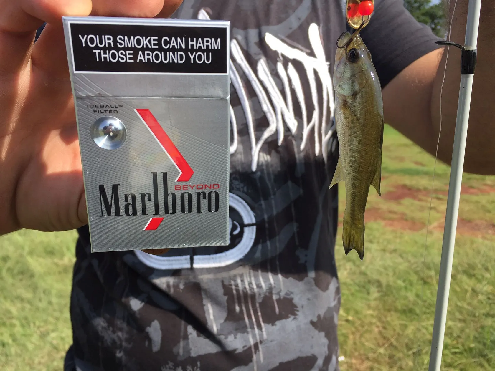 Post image from msvava