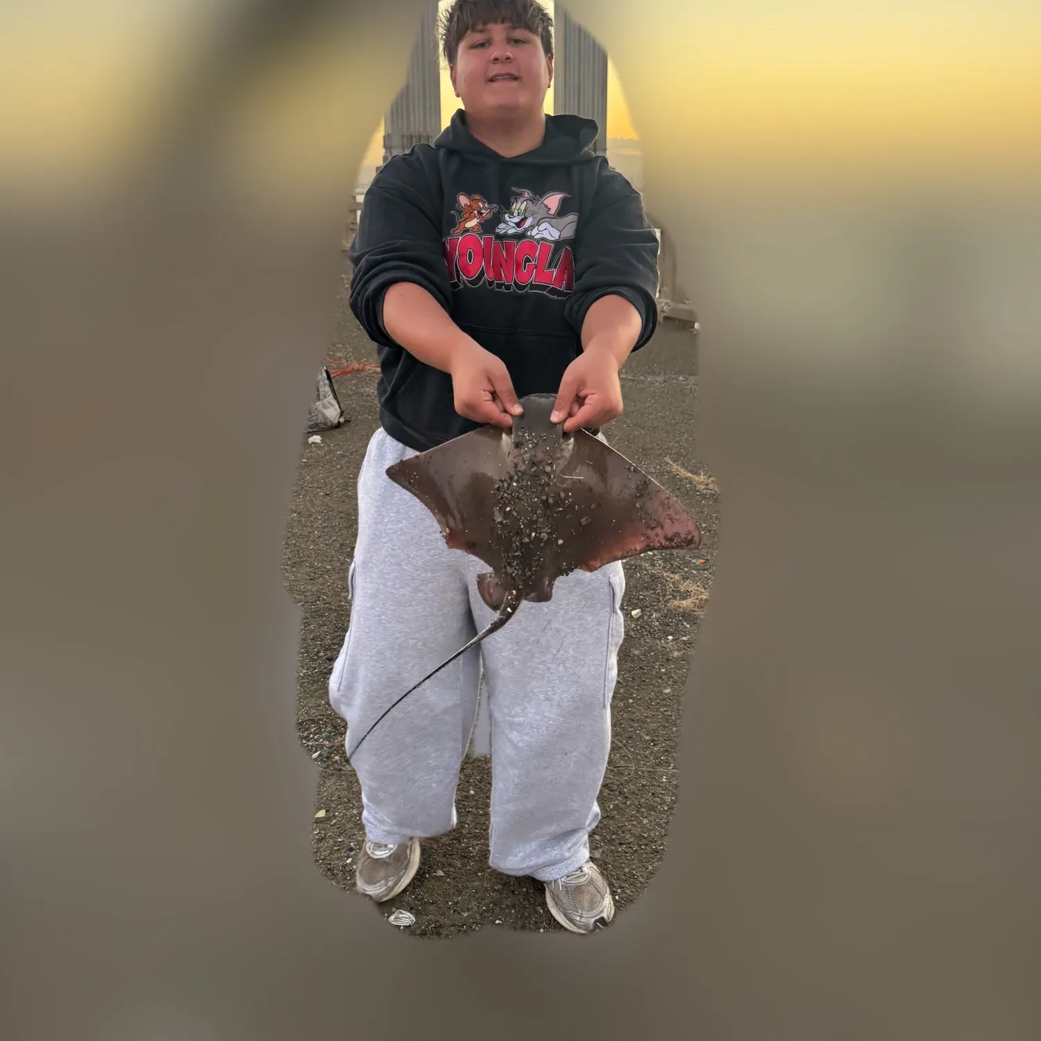 Bat eagle ray caught on Fishbrain