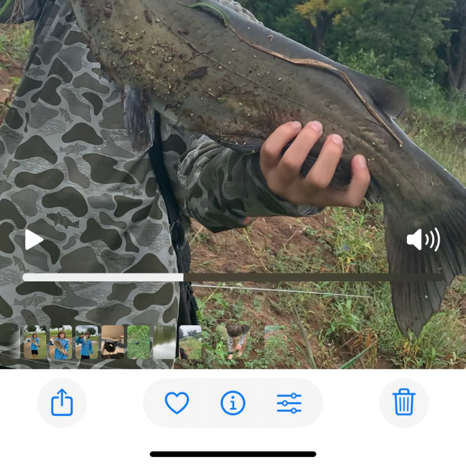 recently logged catches