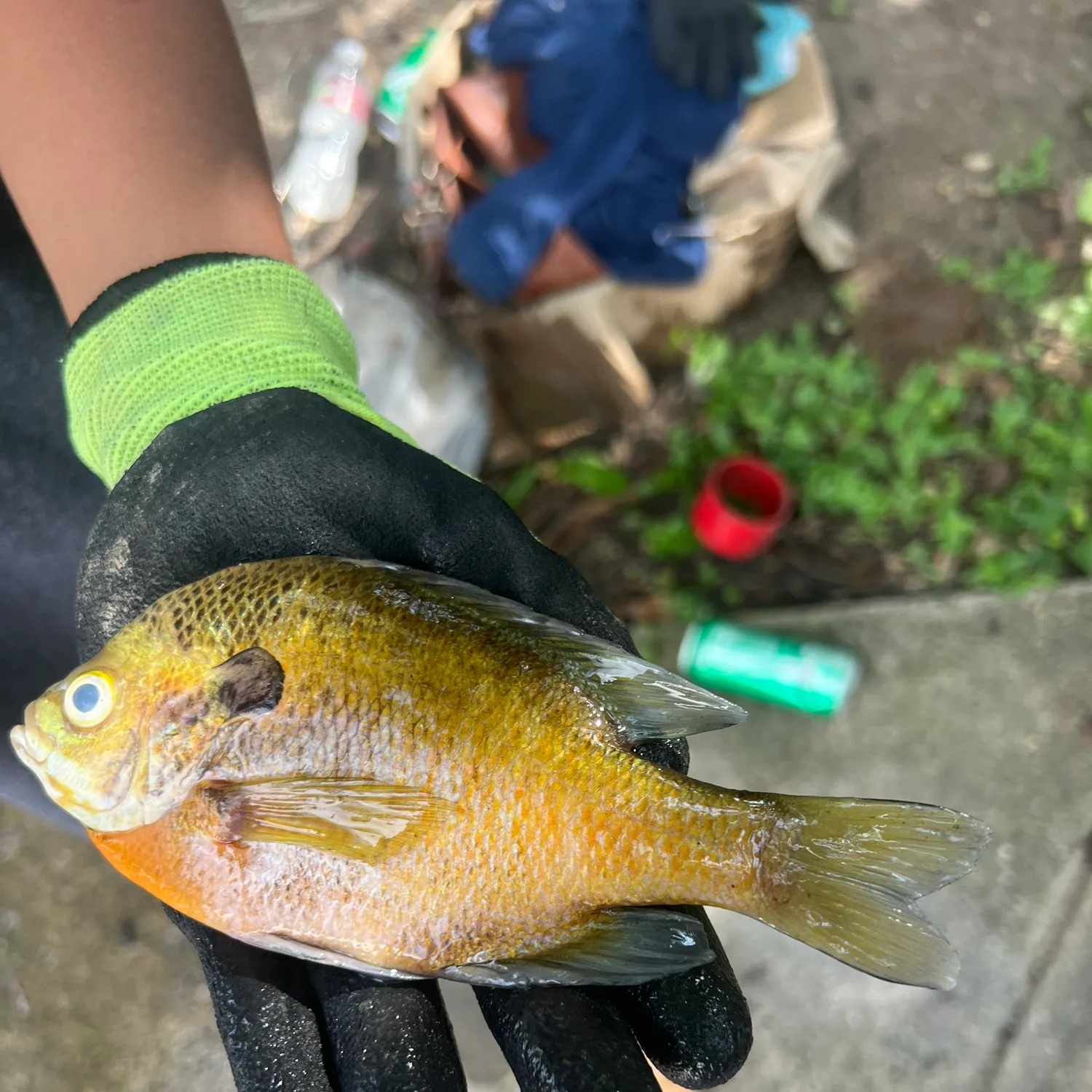 catch