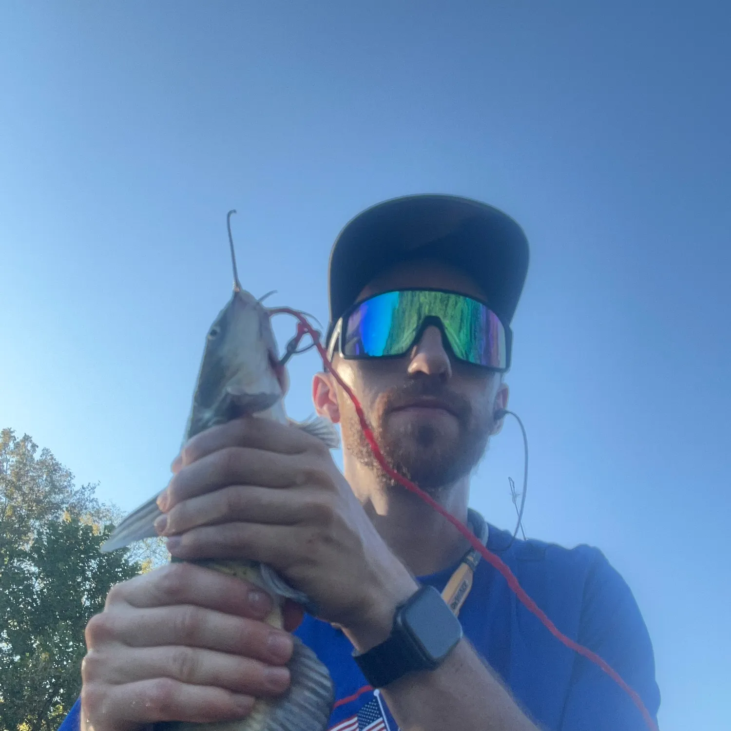 Channel catfish caught on Fishbrain